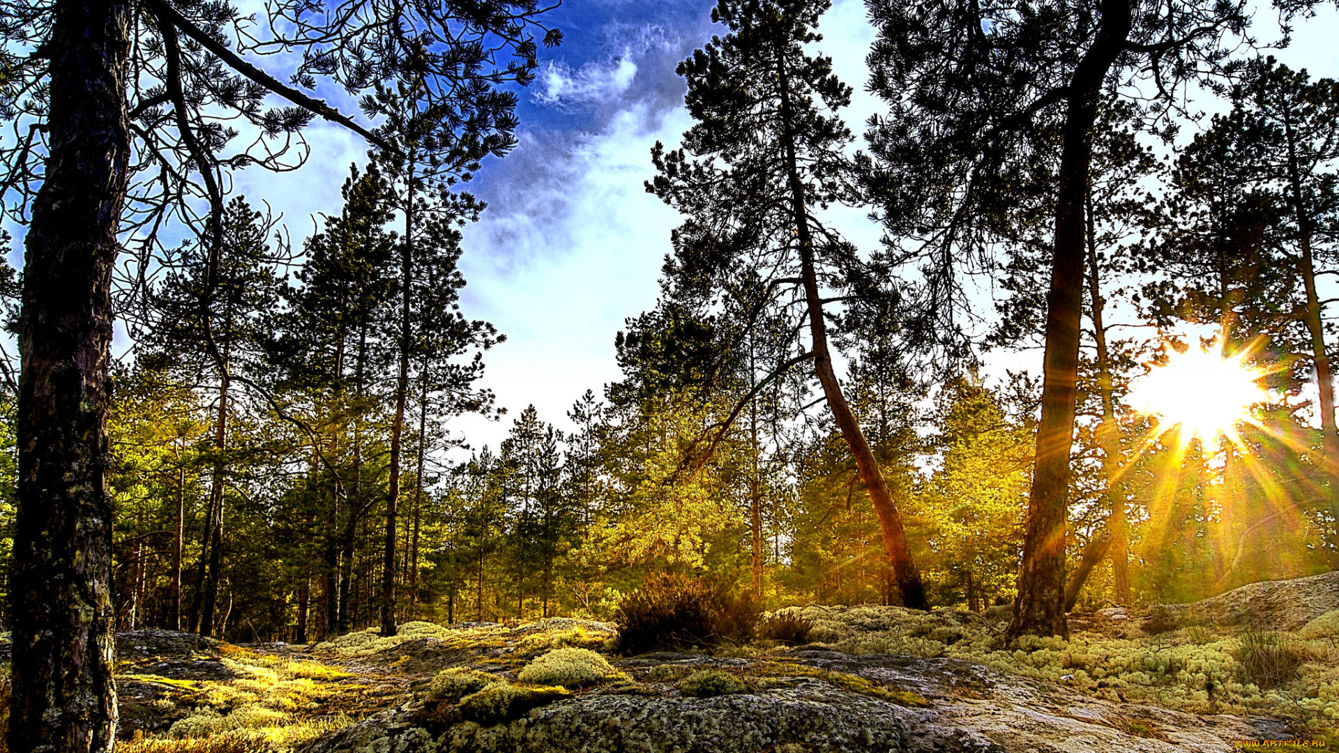 природа, восходы, закаты, рассвет