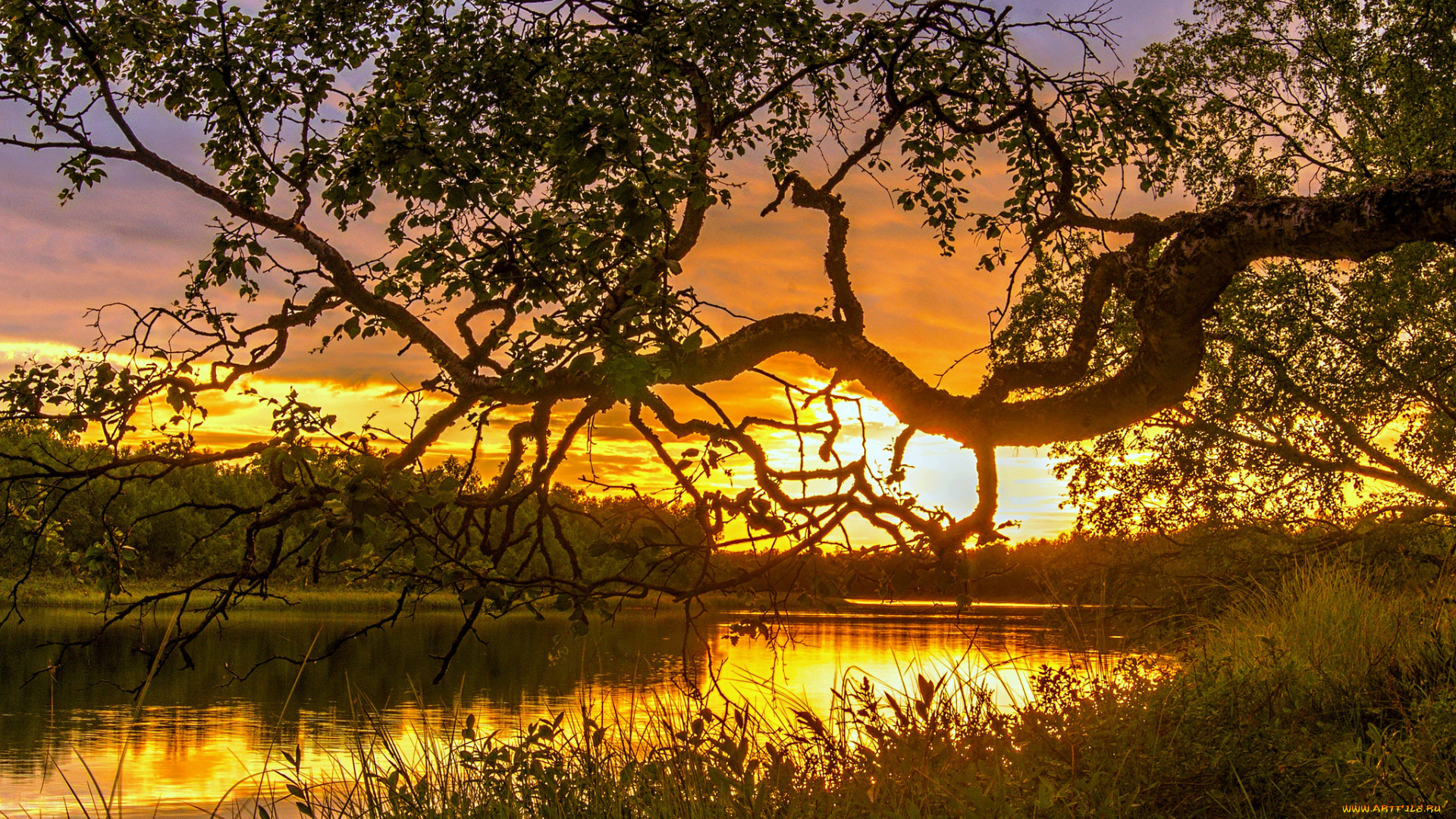 природа, восходы, закаты, рассвет