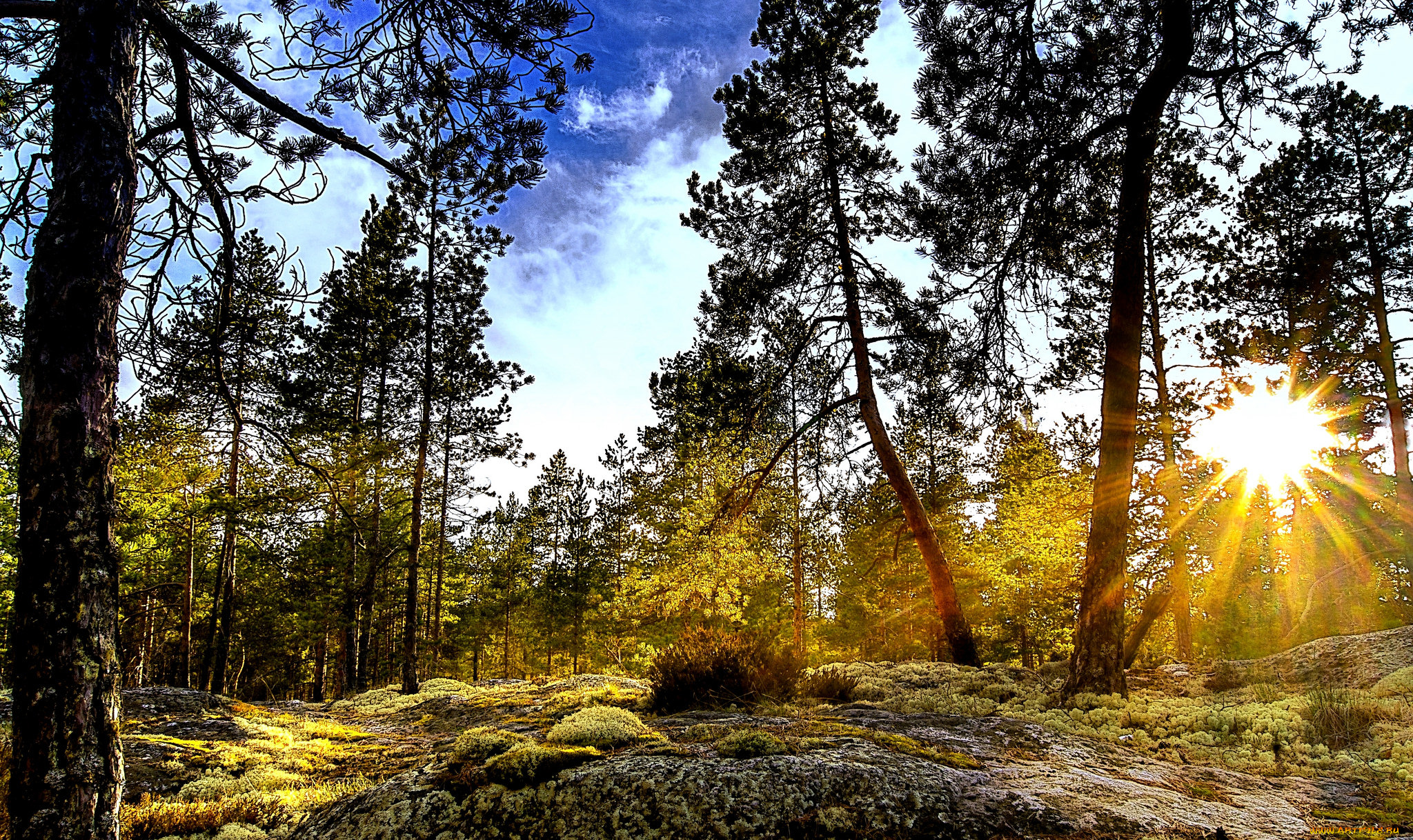 природа, восходы, закаты, рассвет