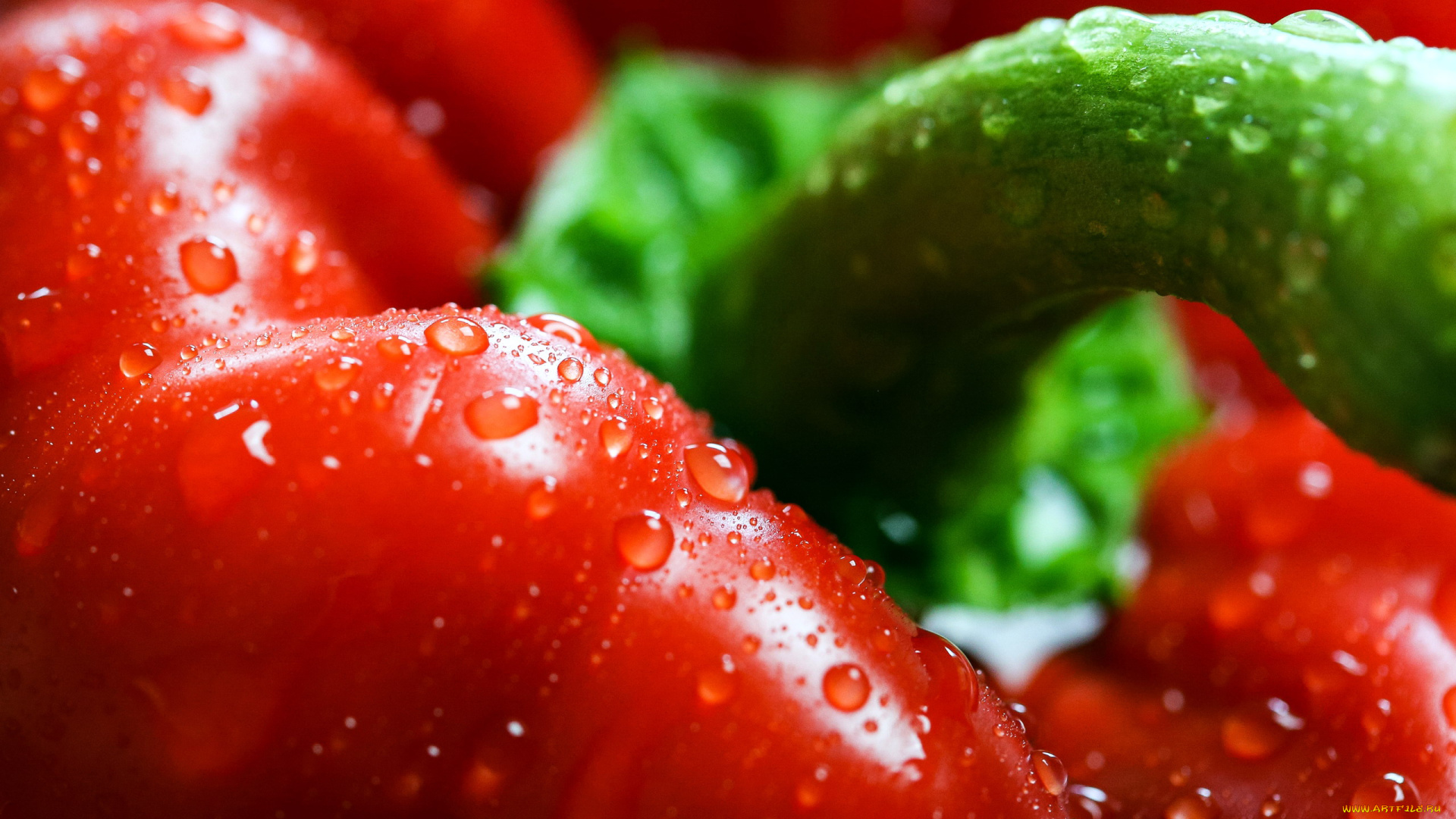 еда, перец, макро