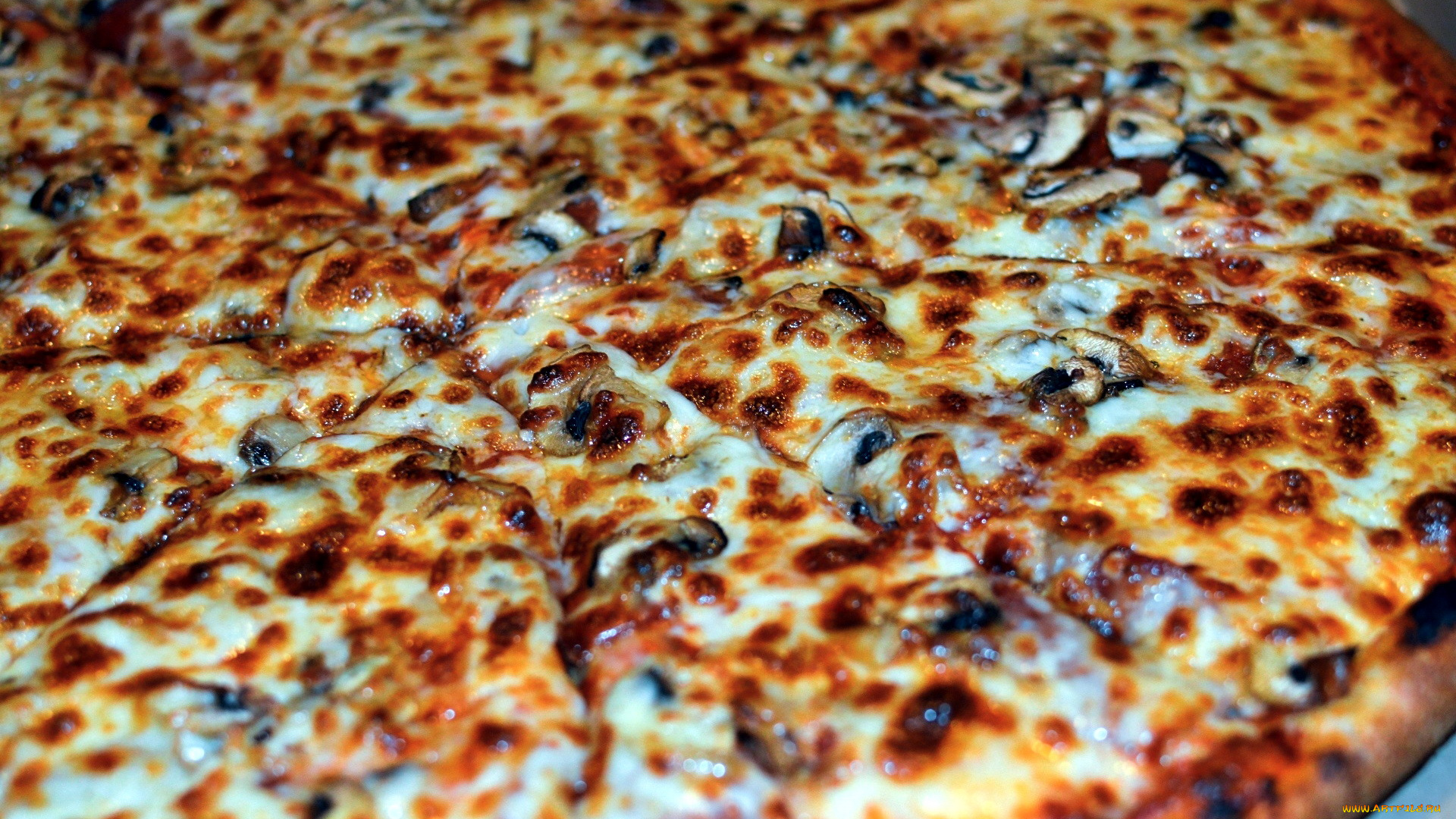 еда, пицца, макро