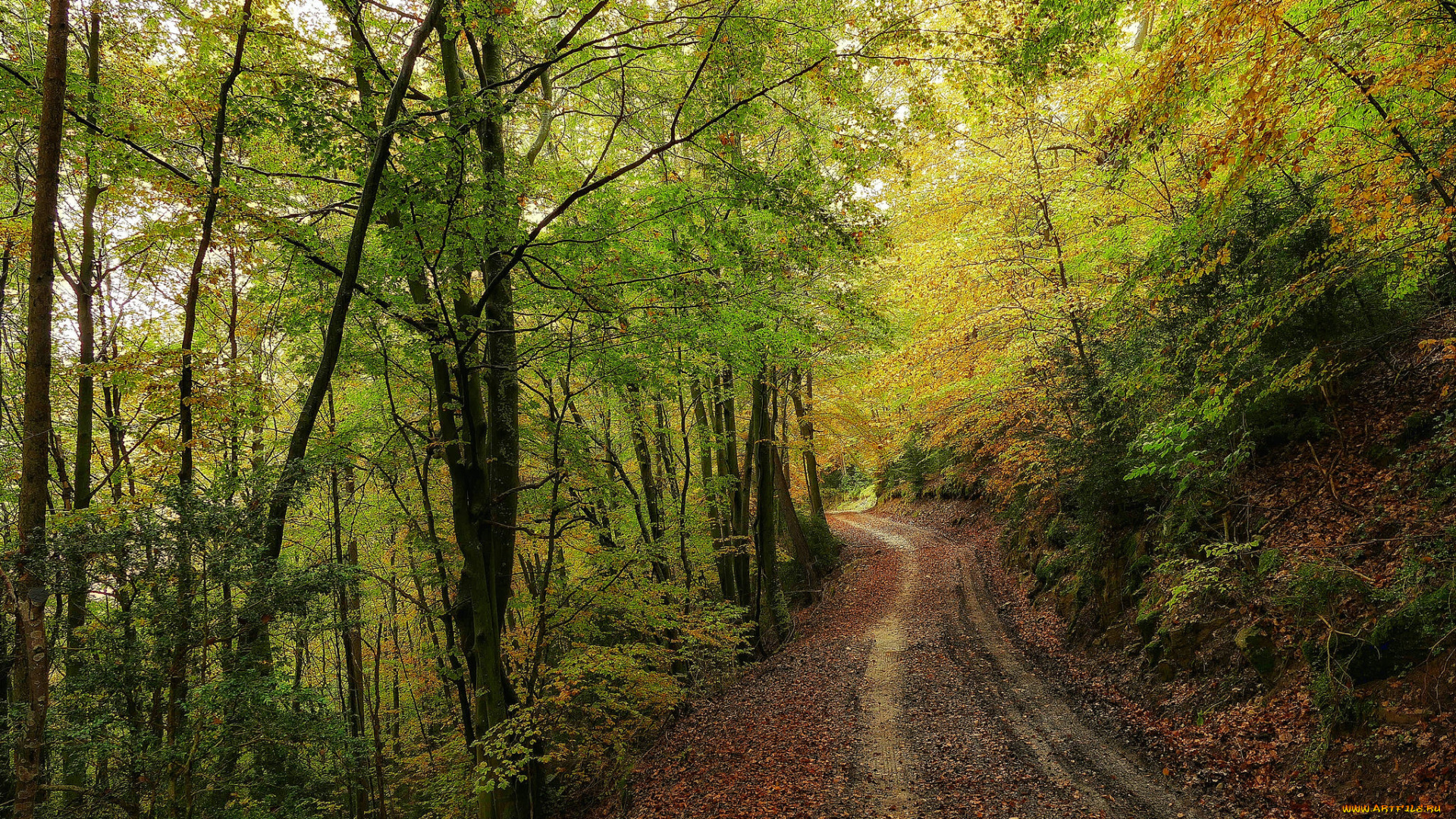 природа, дороги, тракт