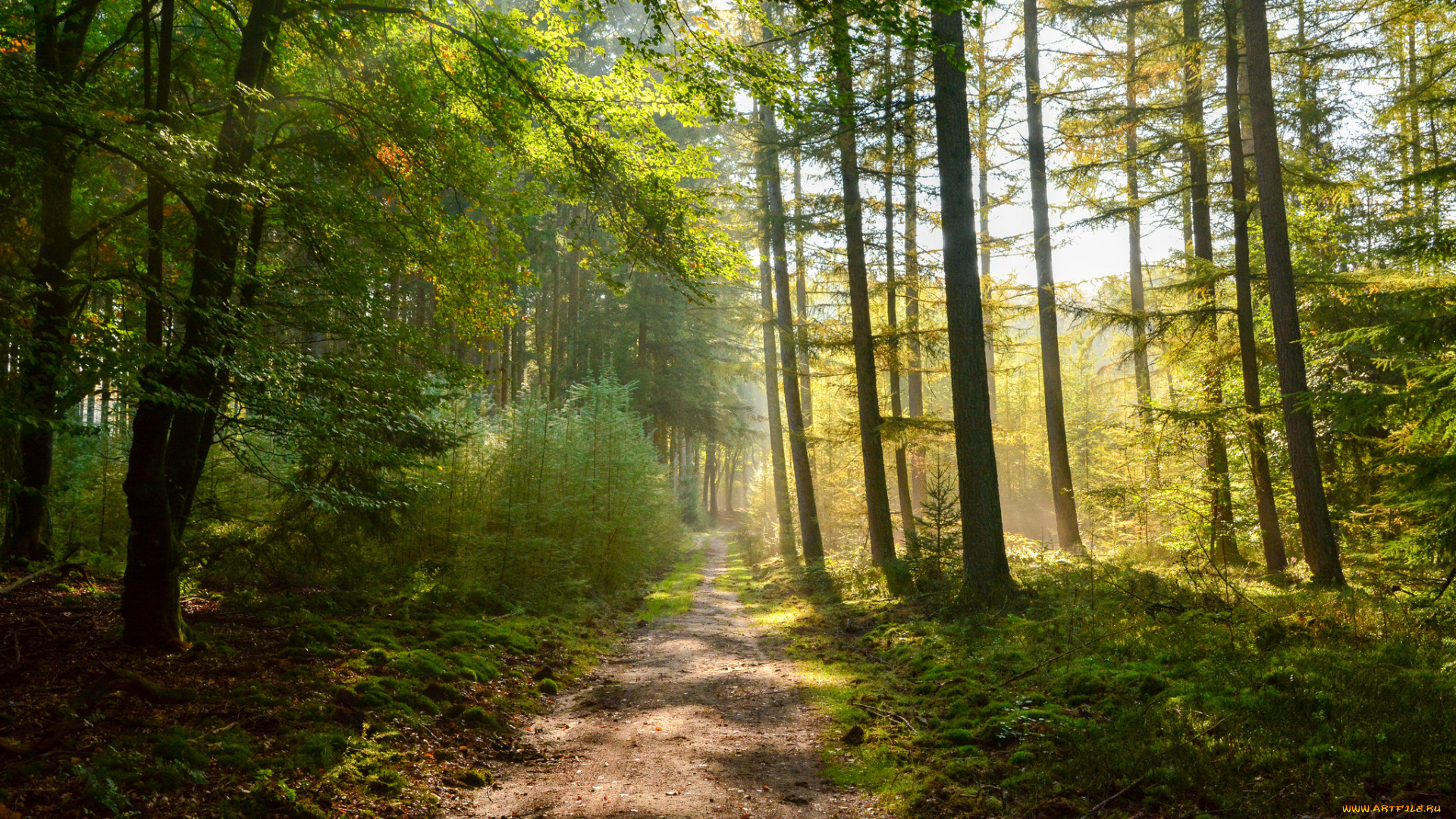 природа, дороги, тракт