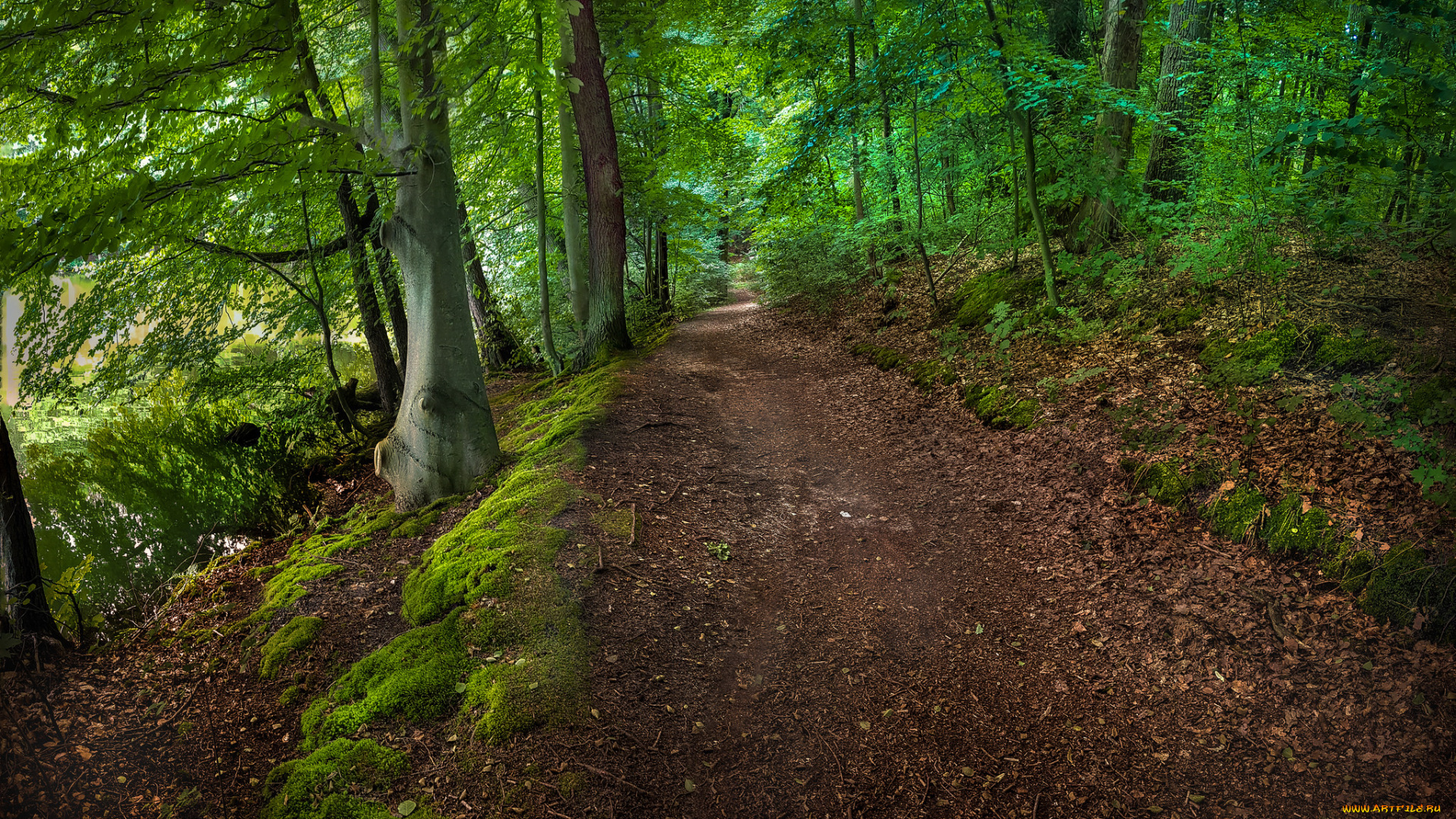 природа, дороги, тракт