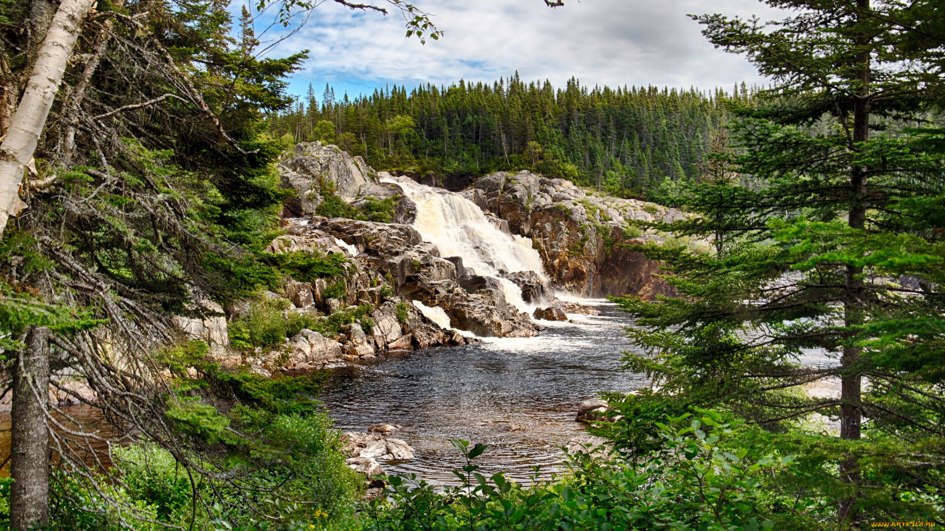 природа, водопады, лес, водопад, река