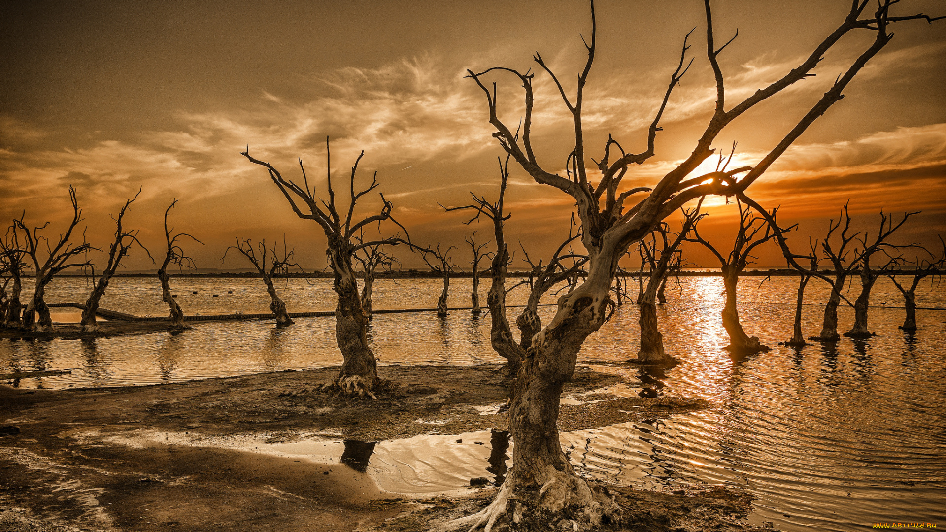 природа, восходы, закаты, рассвет