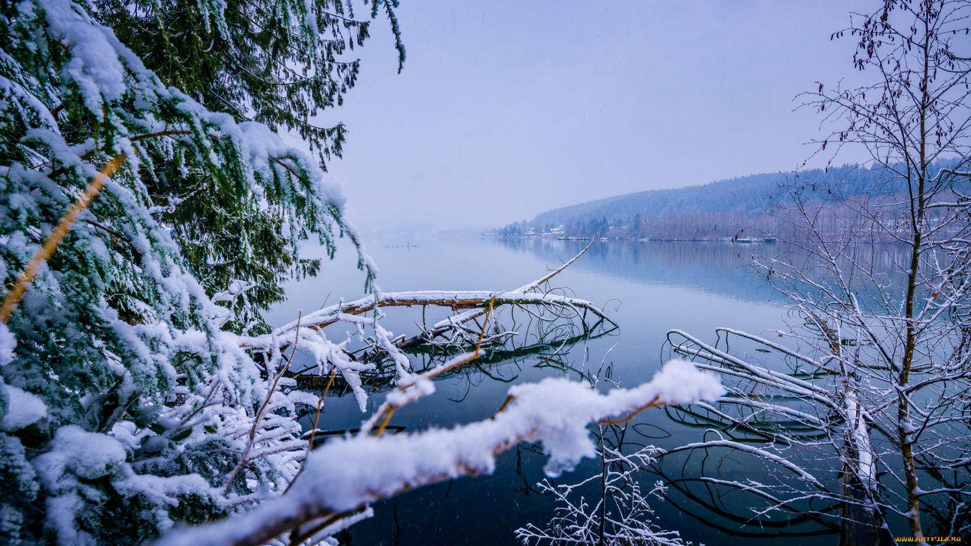 природа, зима, снег