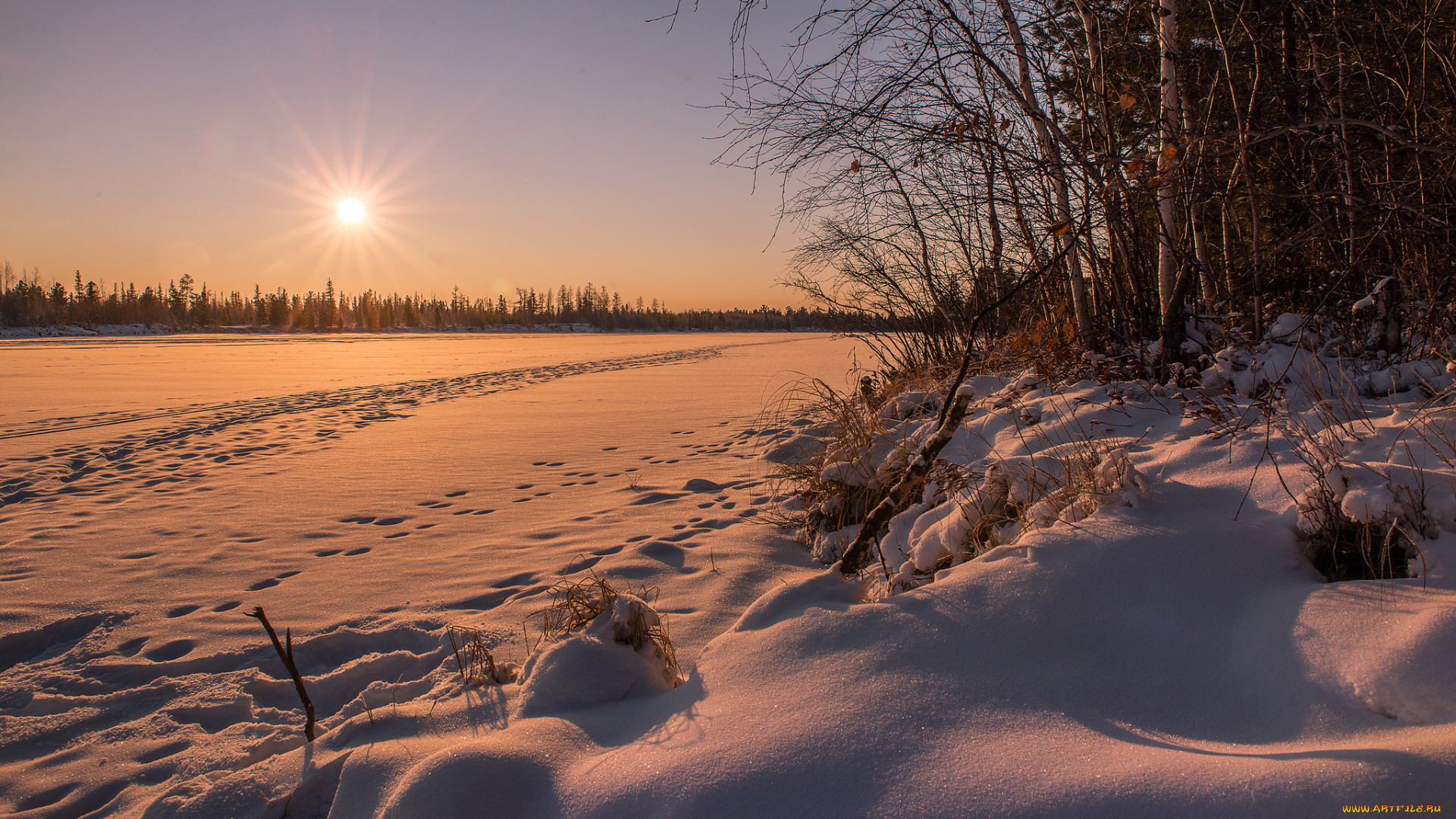 природа, зима, снег