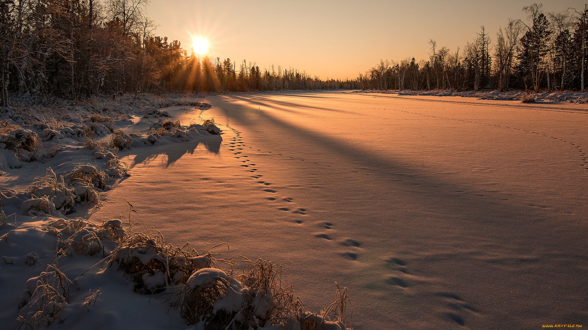 природа, зима, снег