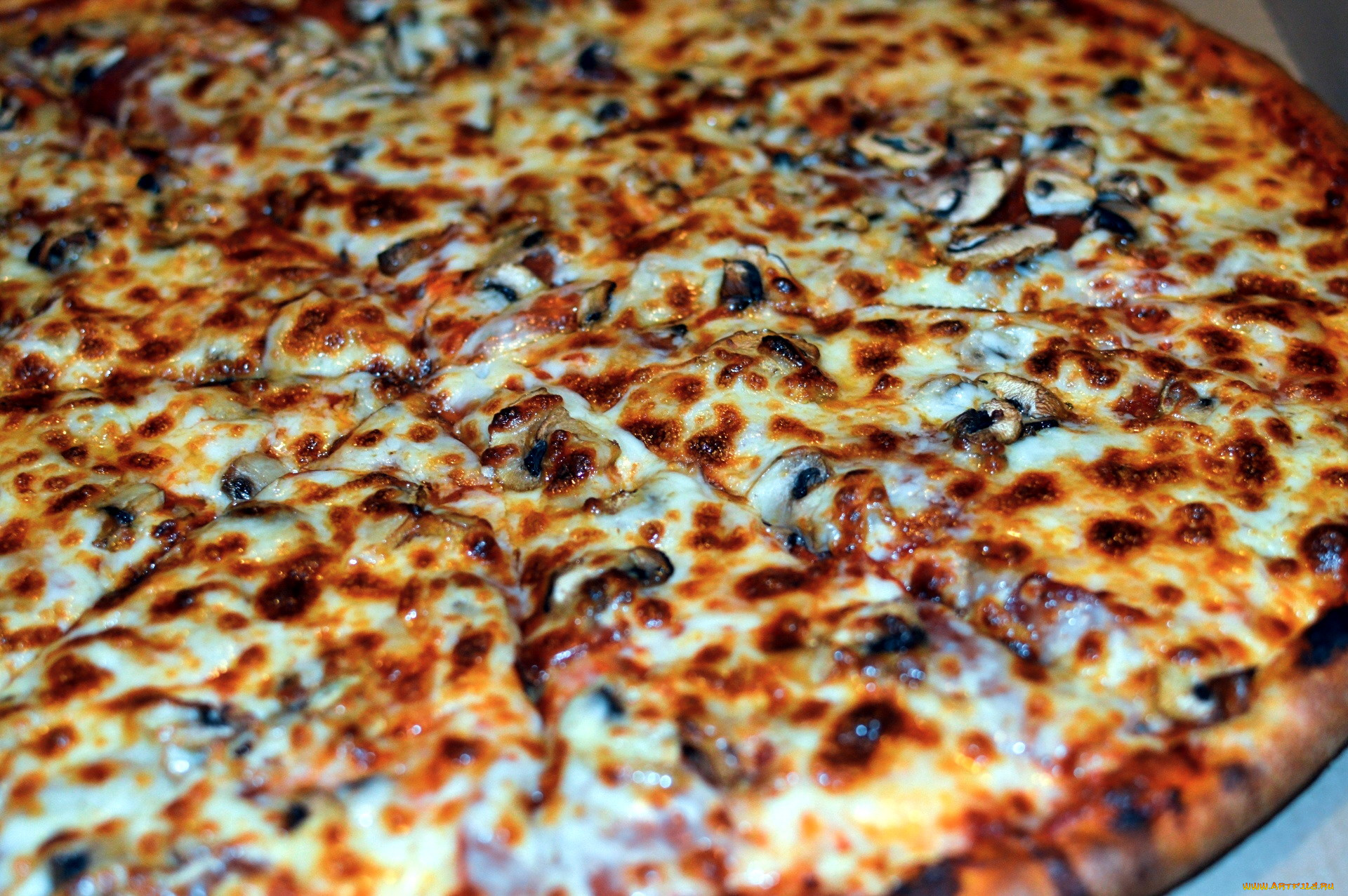 еда, пицца, макро