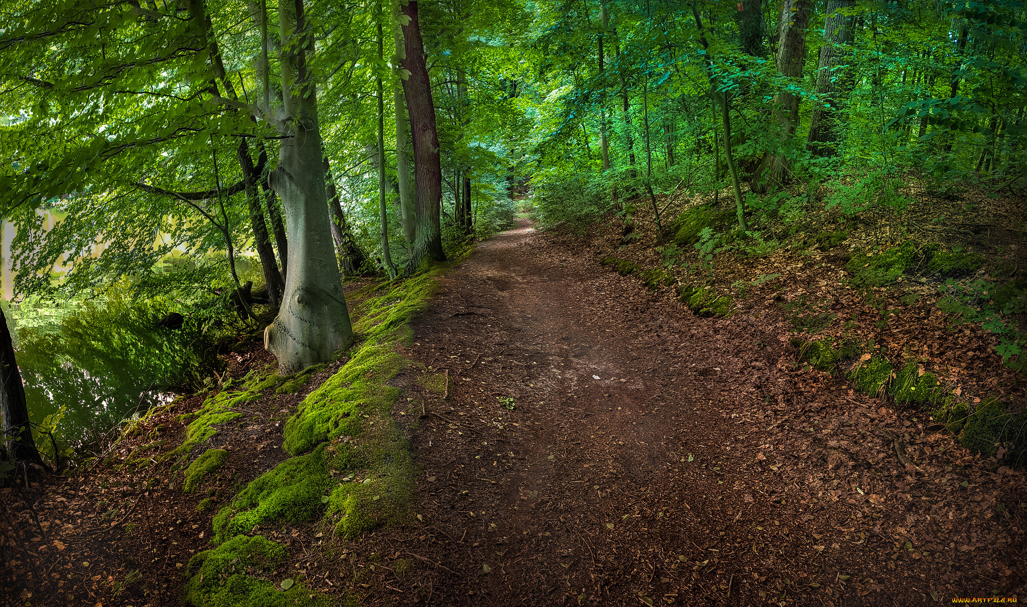 природа, дороги, тракт