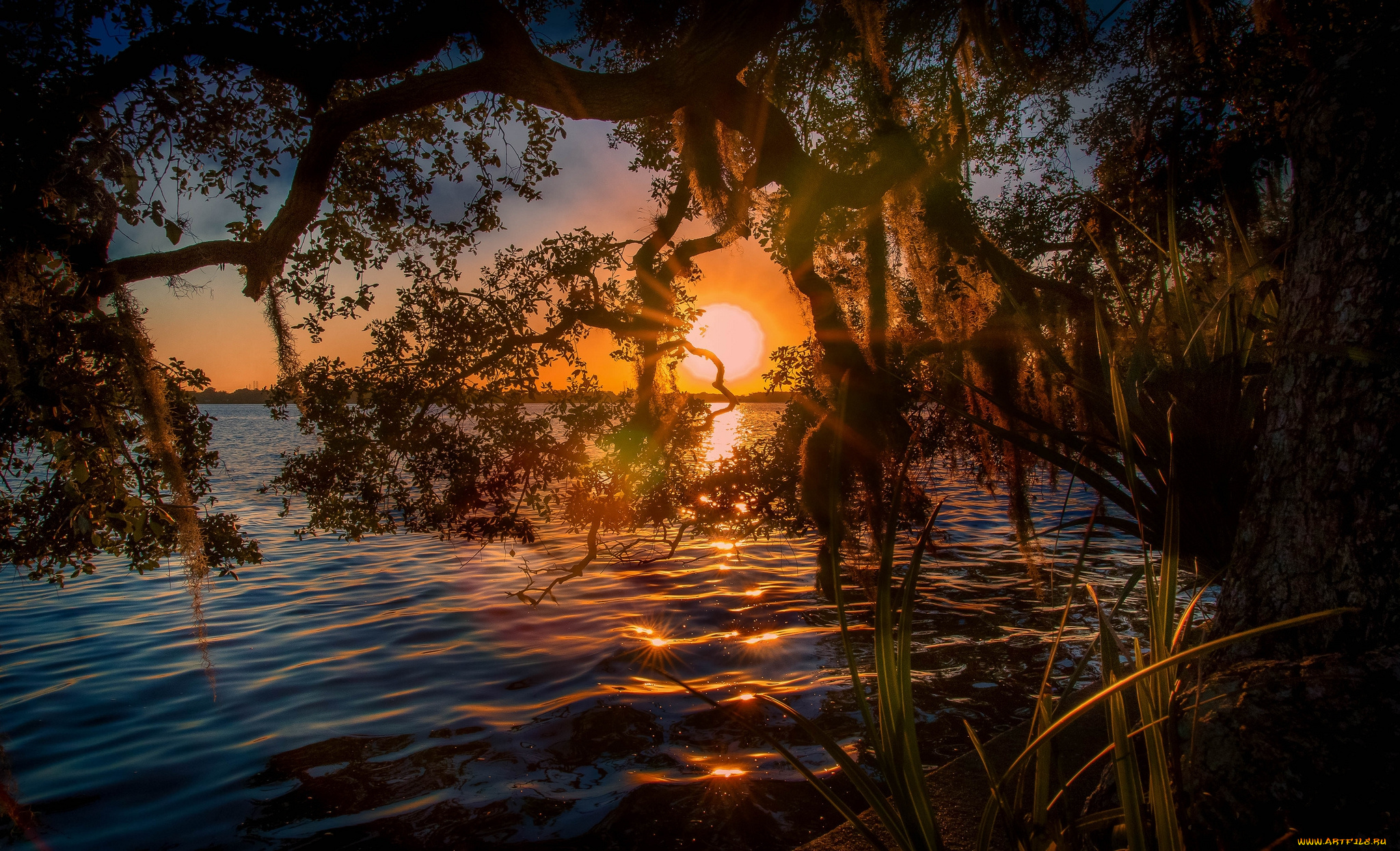 природа, восходы, закаты, рассвет