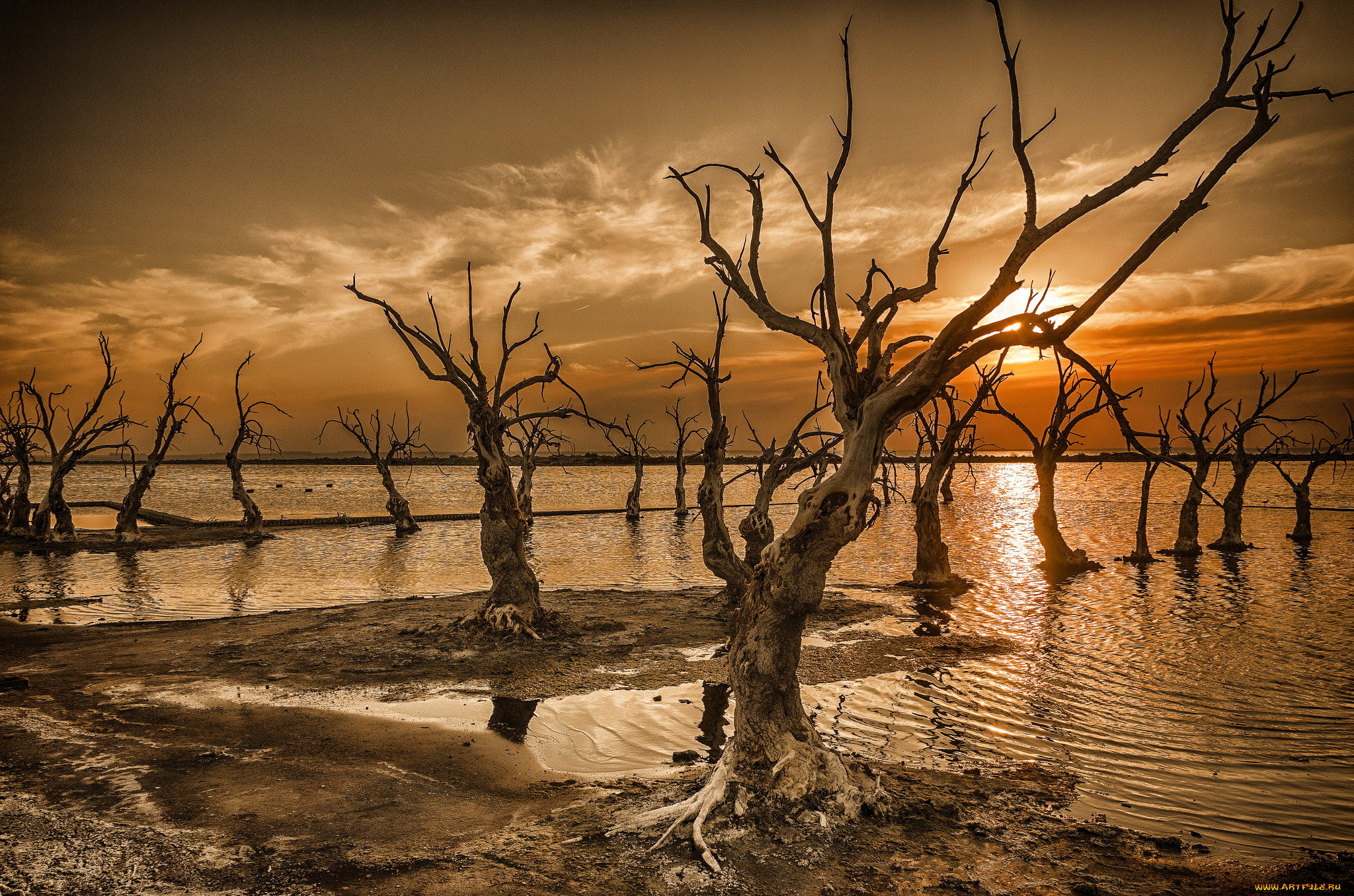 природа, восходы, закаты, рассвет