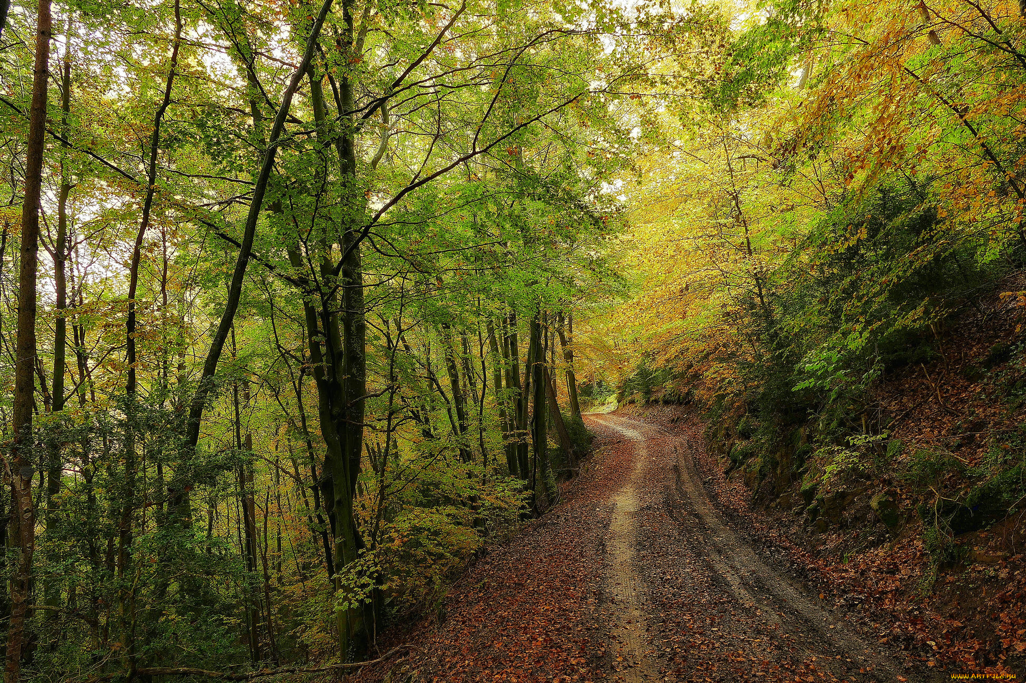 природа, дороги, тракт