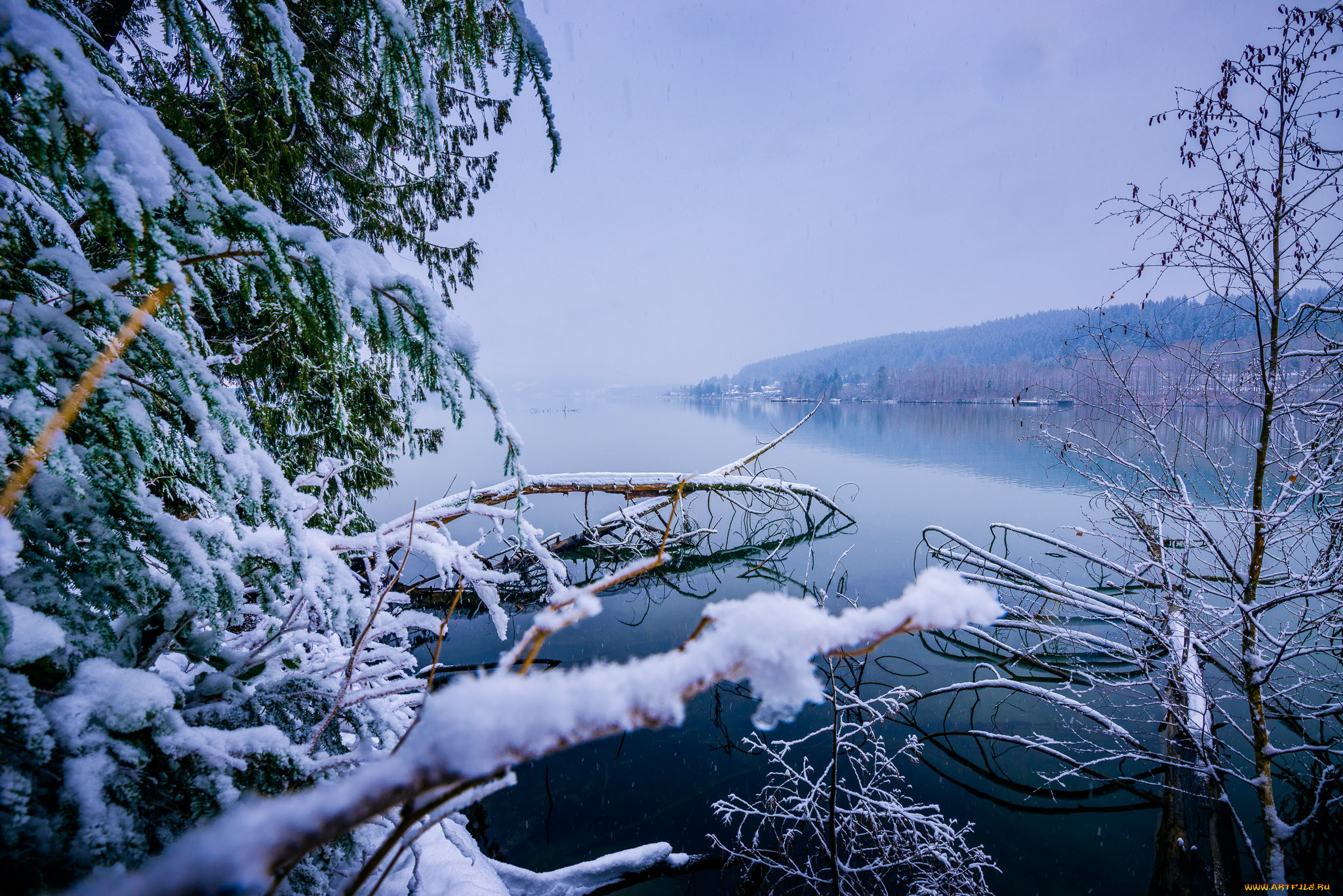 природа, зима, снег