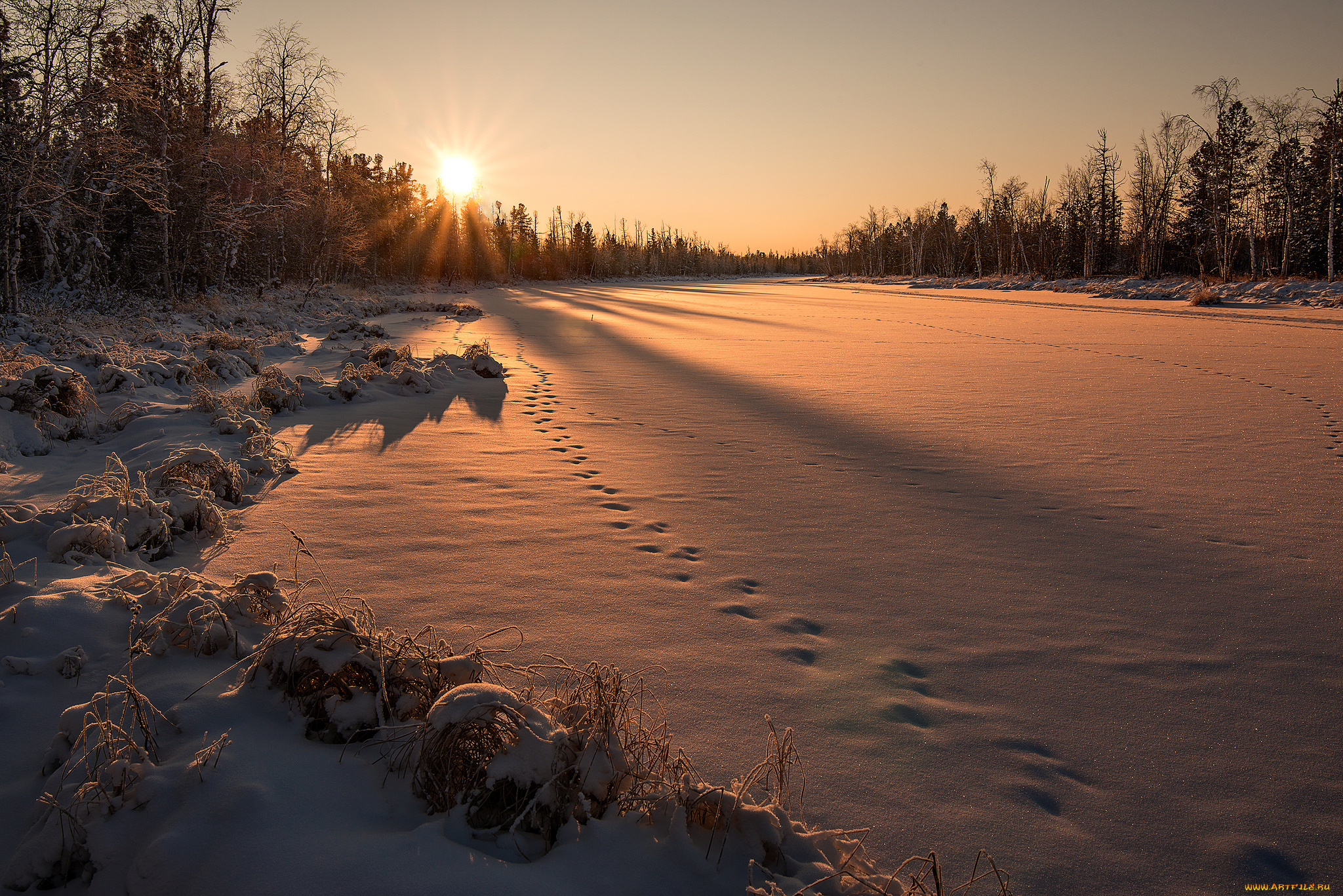 природа, зима, снег