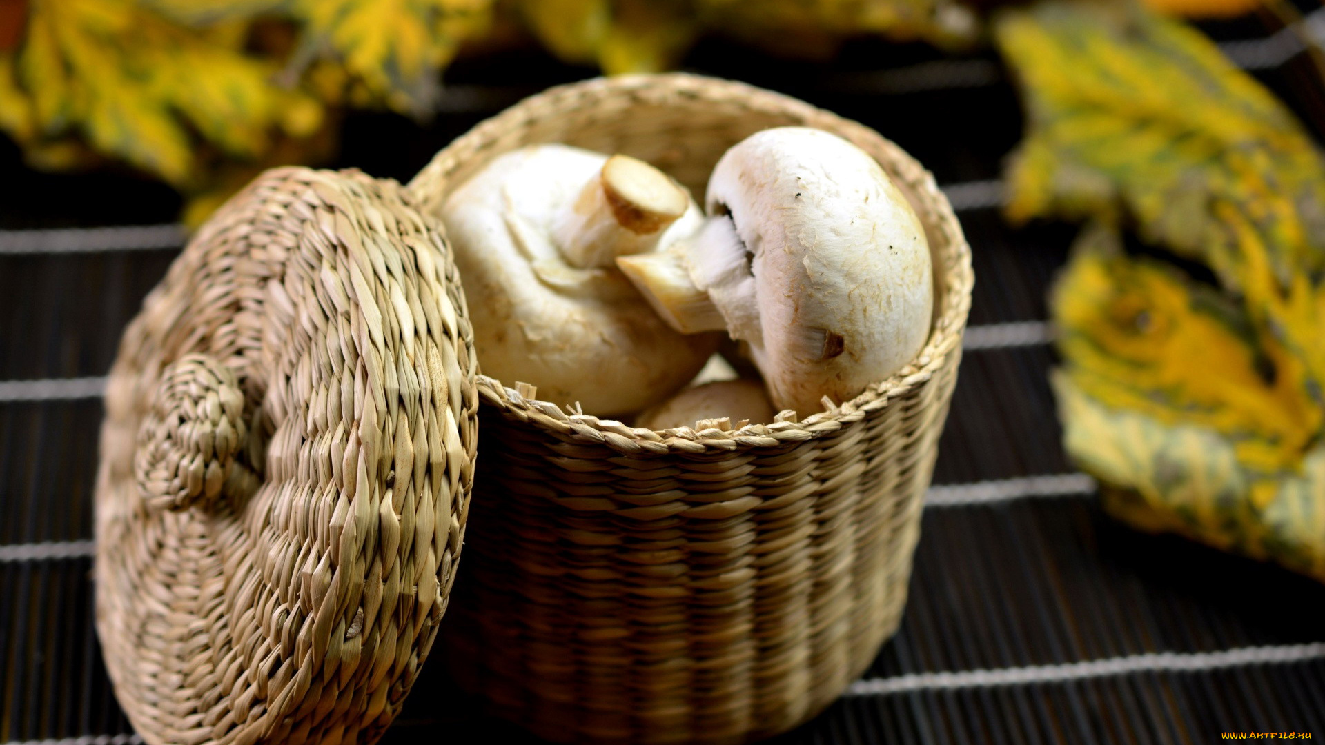 еда, грибы, , грибные, блюда, шампиньоны