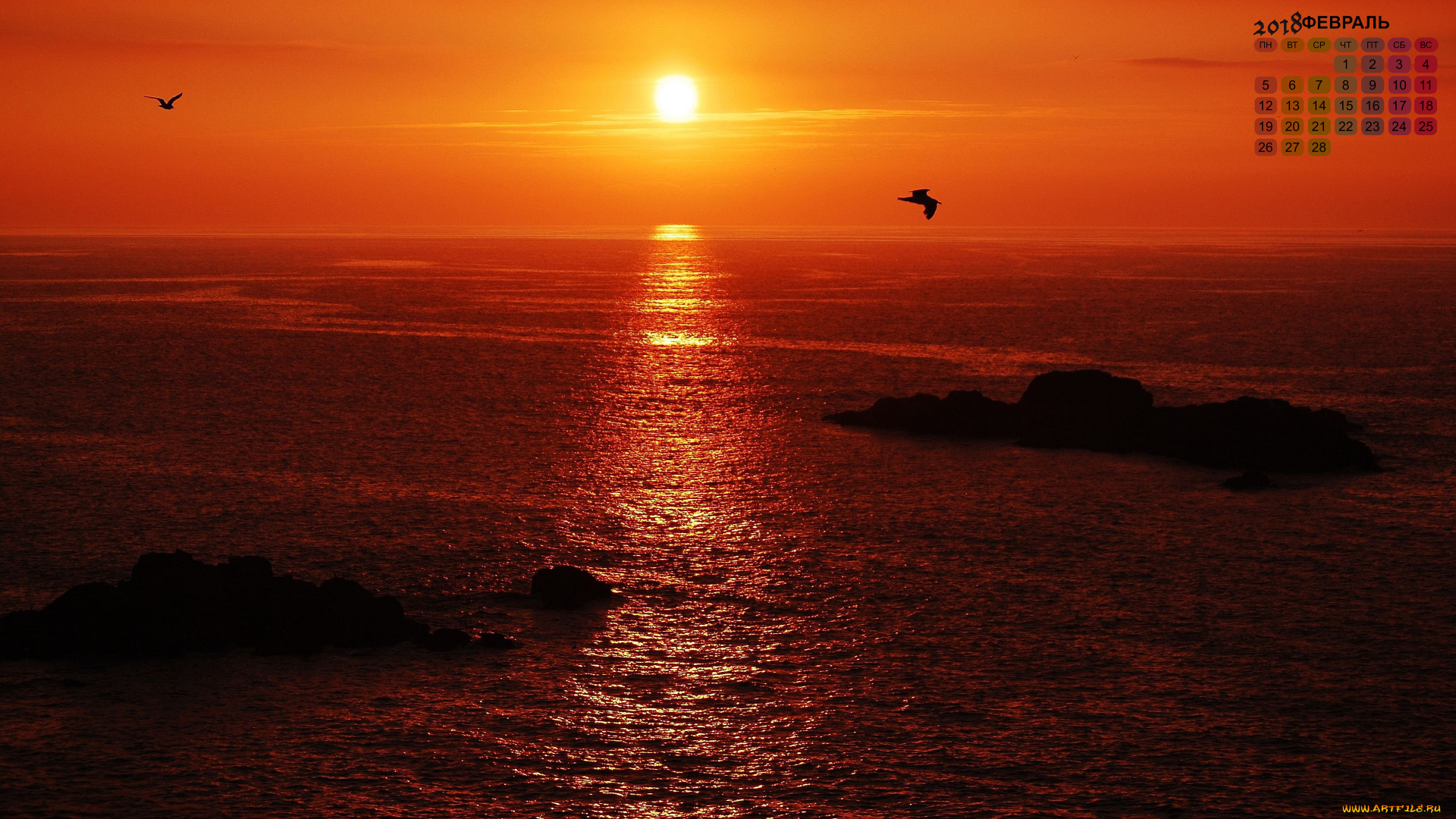 календари, природа, закат, водоем, птица, 2018