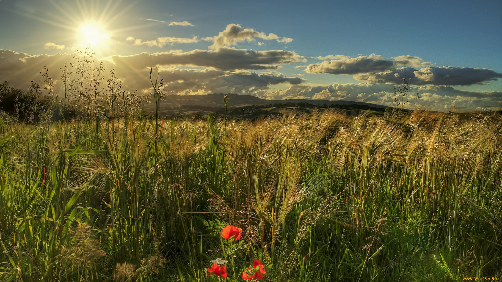 природа, восходы, закаты, простор