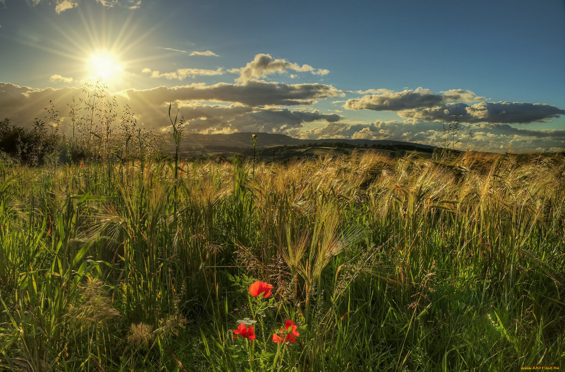 природа, восходы, закаты, простор