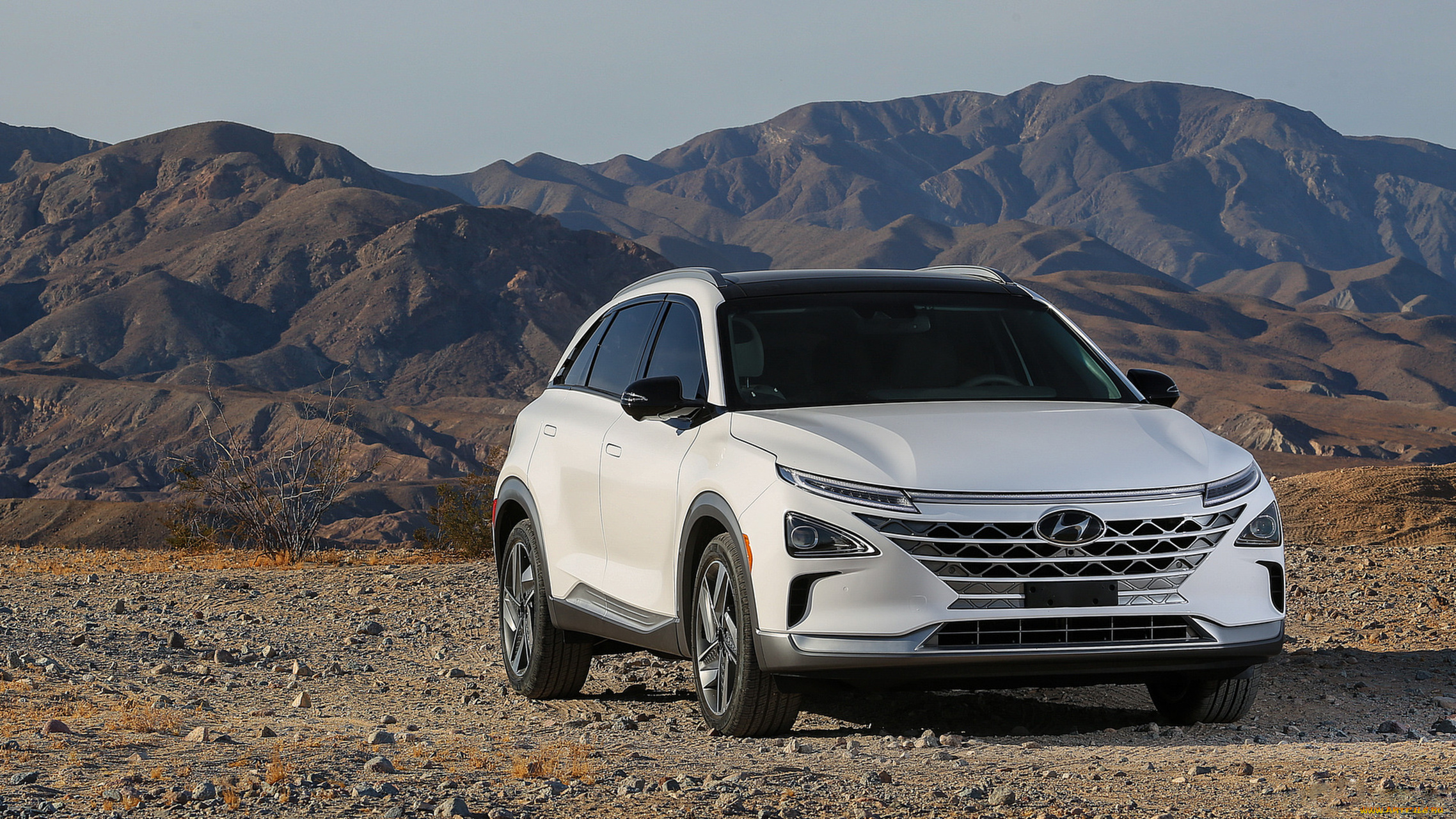 hyundai, nexo, fcev, 2019, автомобили, hyundai, белый, 2019, fcev, nexo