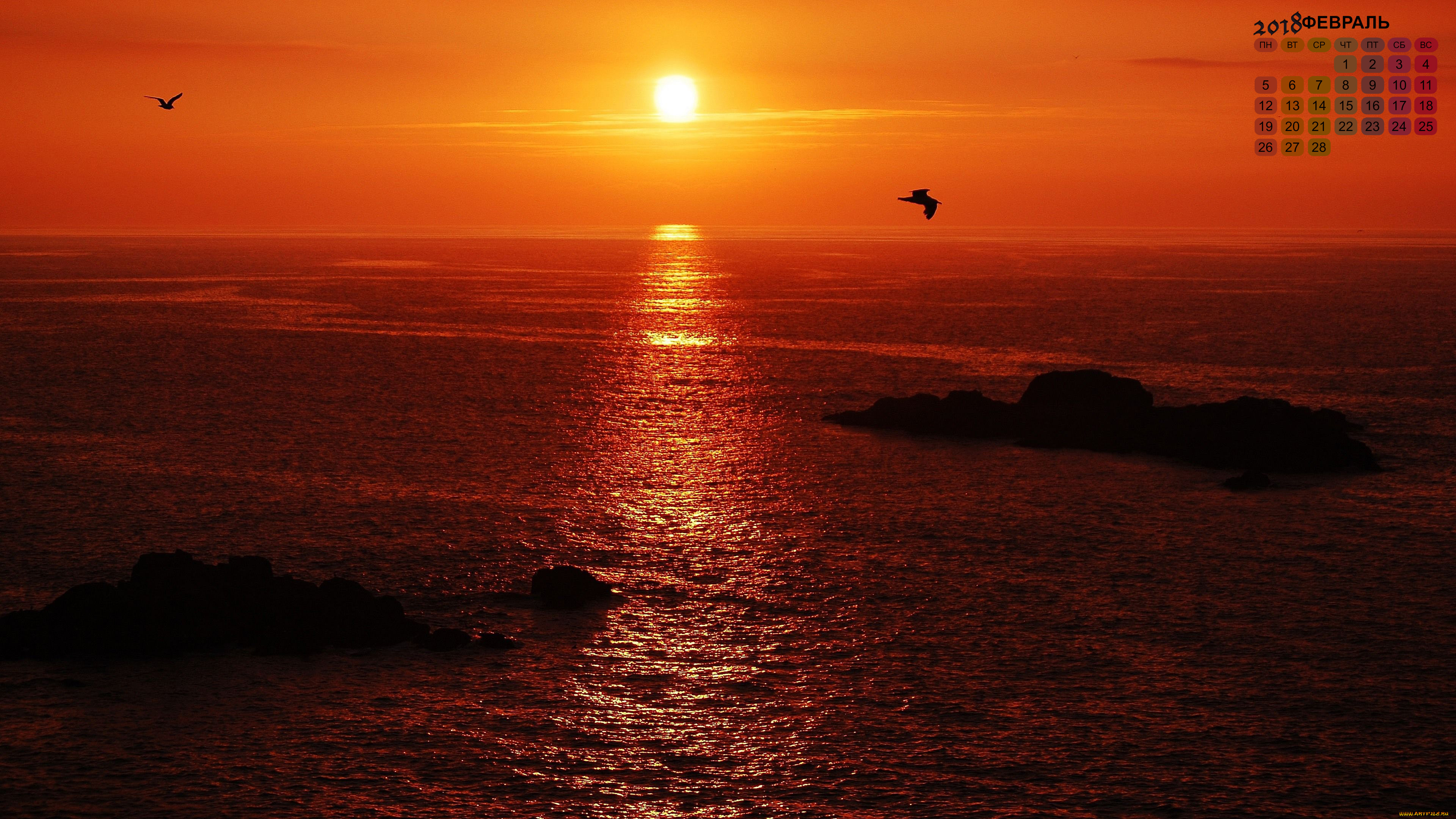 календари, природа, закат, водоем, птица, 2018