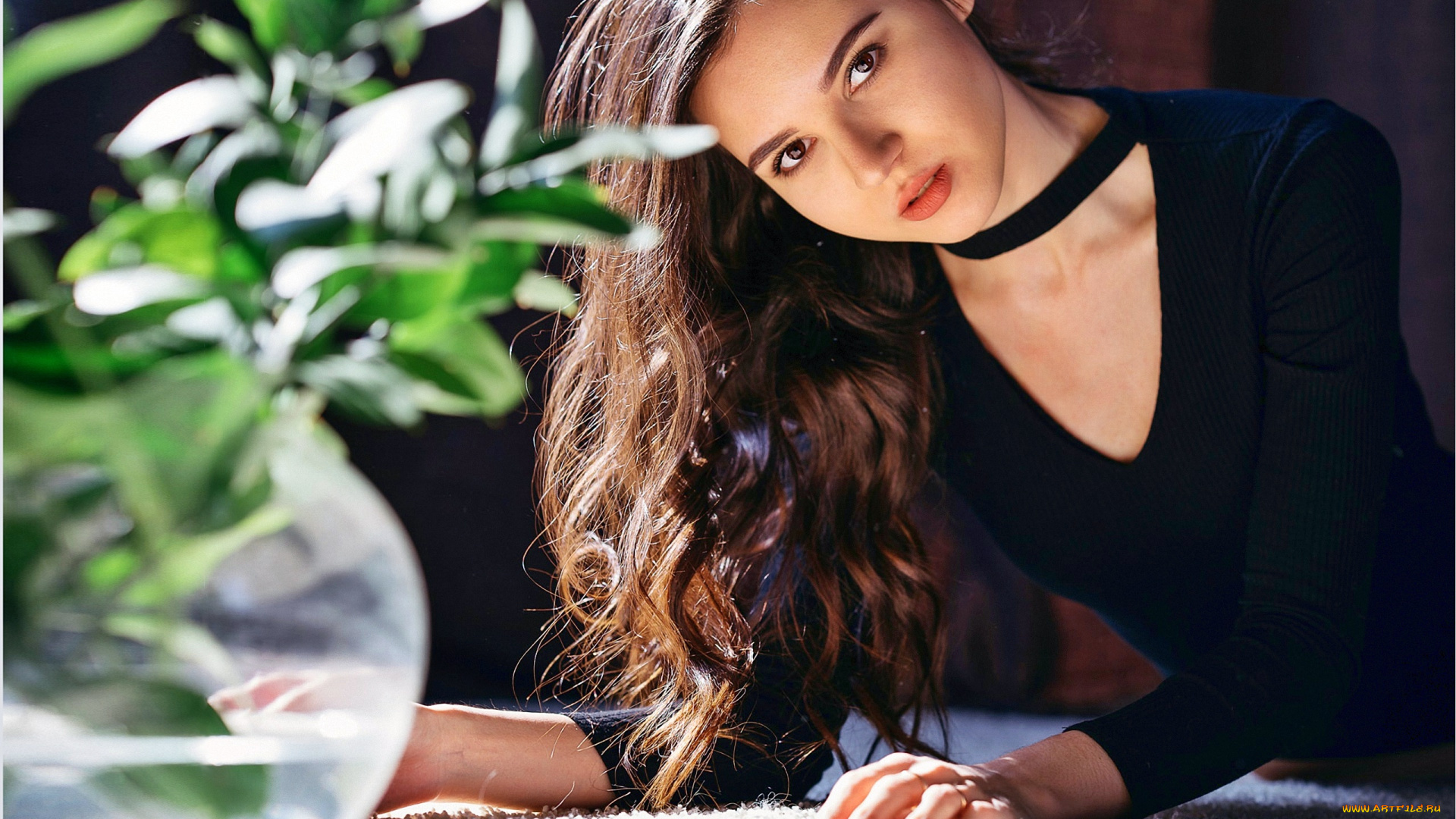 девушки, -unsort, , брюнетки, темноволосые, взгляд, цветок, длинные, волосы