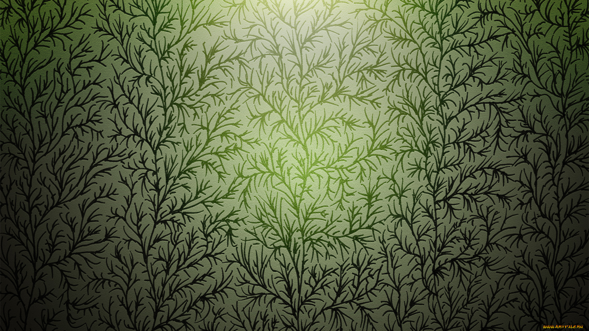 векторная, графика, природа, , nature, свет, растения