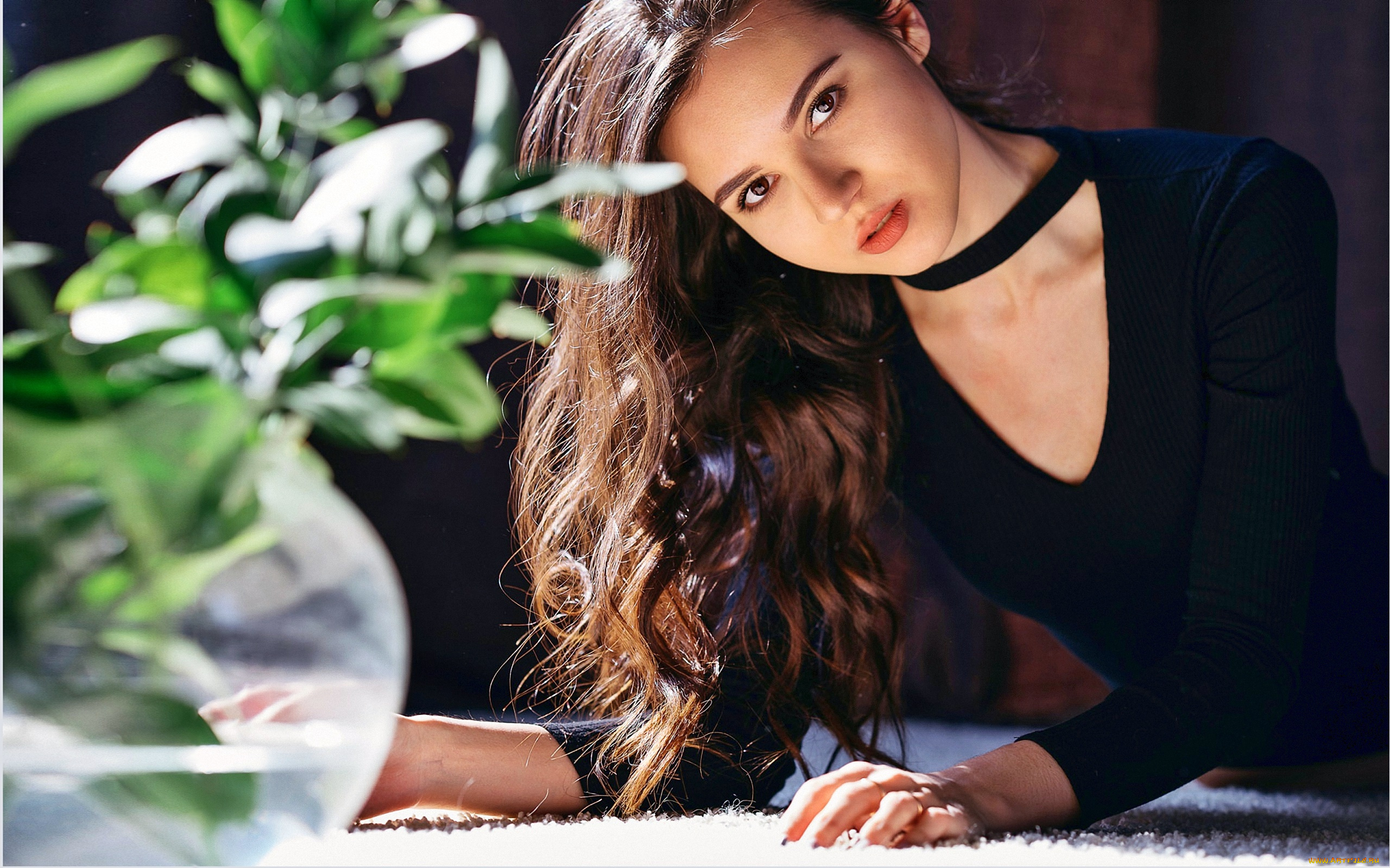 девушки, -unsort, , брюнетки, темноволосые, взгляд, цветок, длинные, волосы