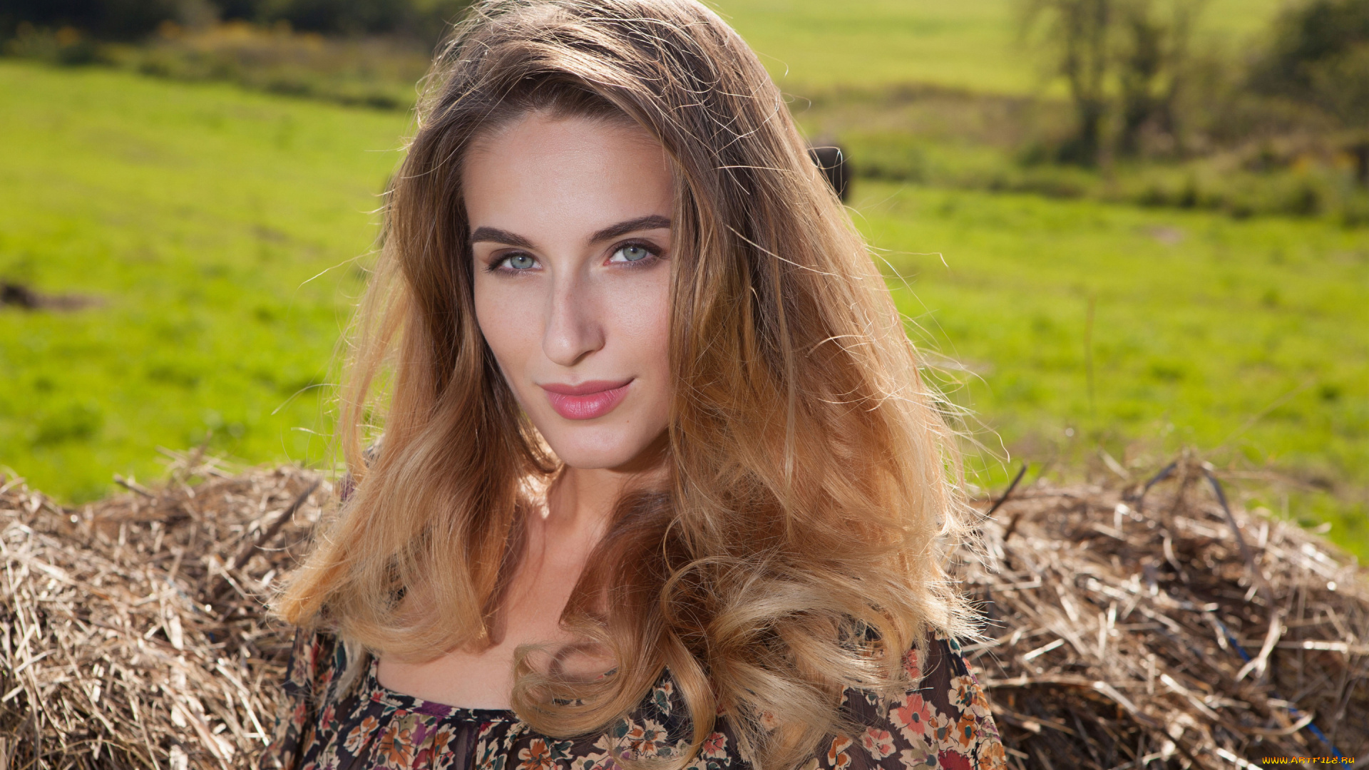 cara, mell, девушки, cara, mell, девушка, шатенка, красотка, поза, взгляд, модель