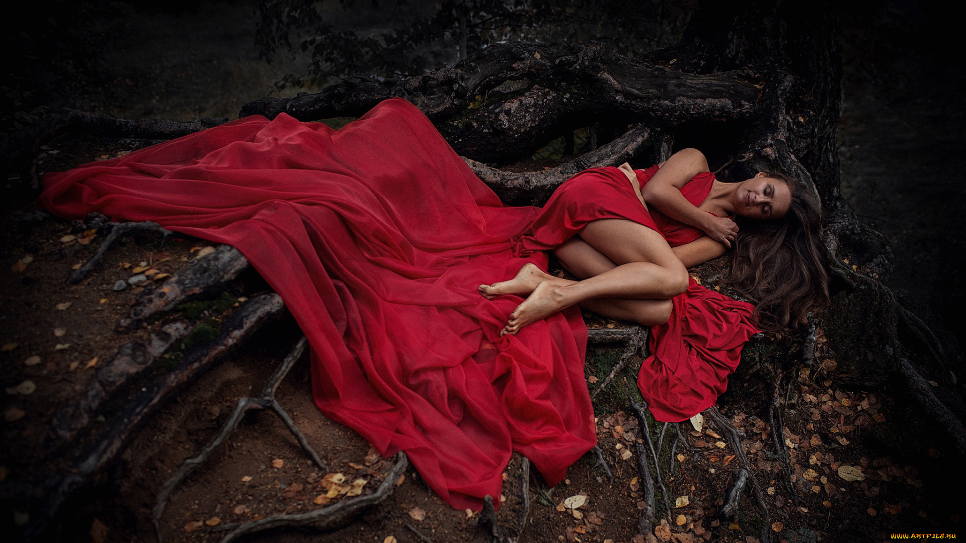 девушки, -unsort, , брюнетки, темноволосые, красивая, девушка