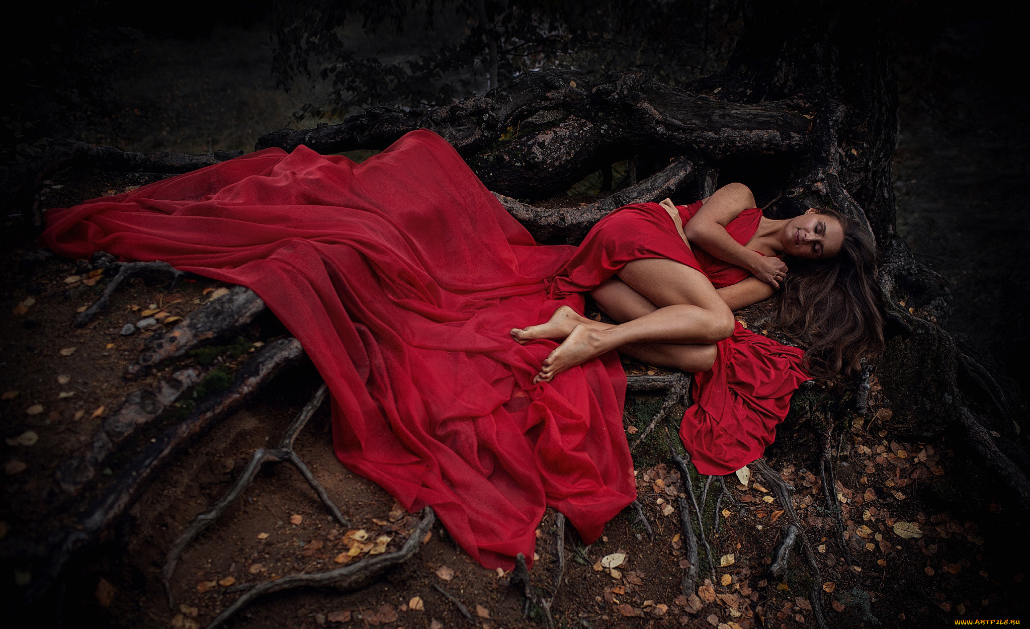 девушки, -unsort, , брюнетки, темноволосые, красивая, девушка