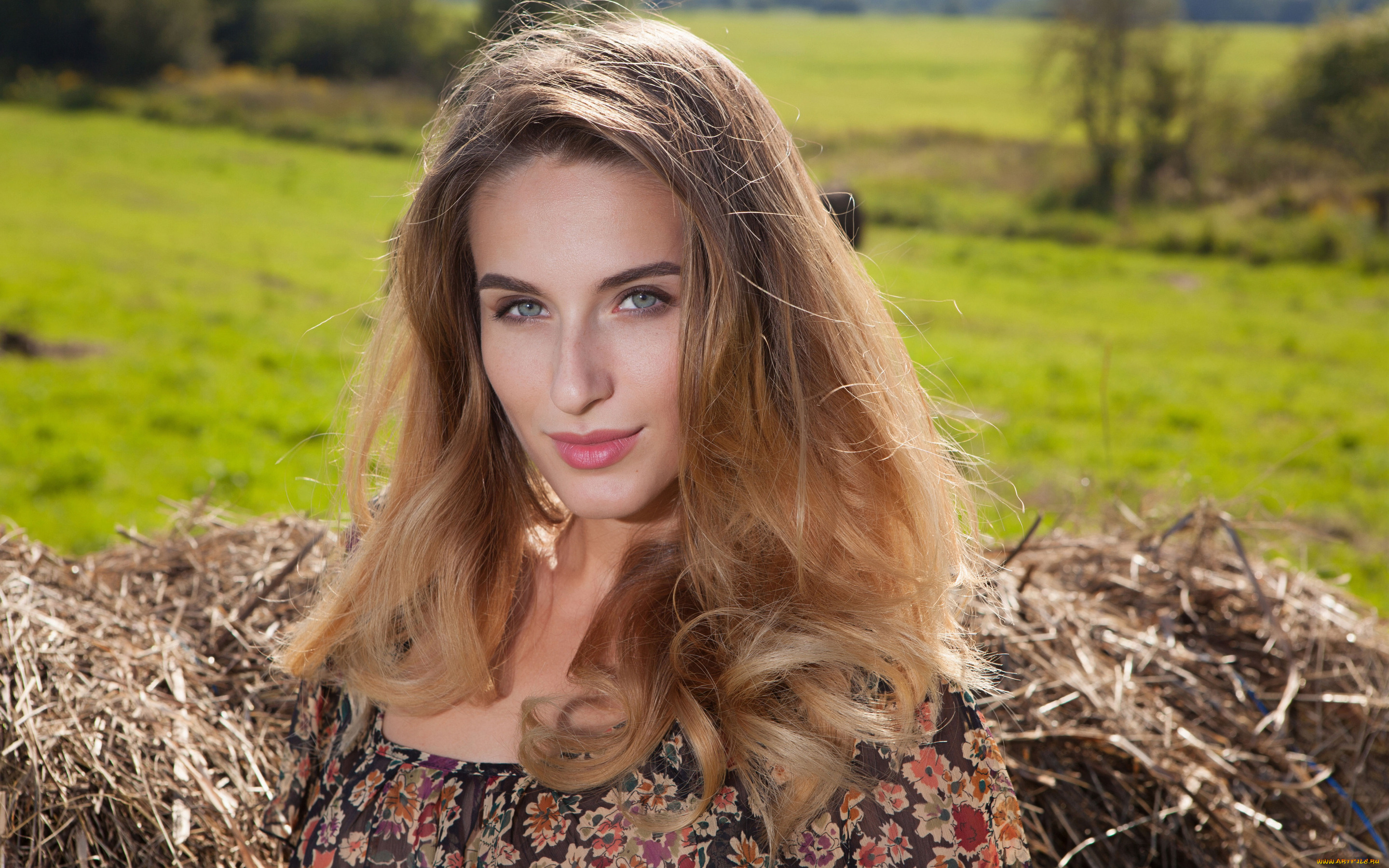 cara, mell, девушки, cara, mell, девушка, шатенка, красотка, поза, взгляд, модель