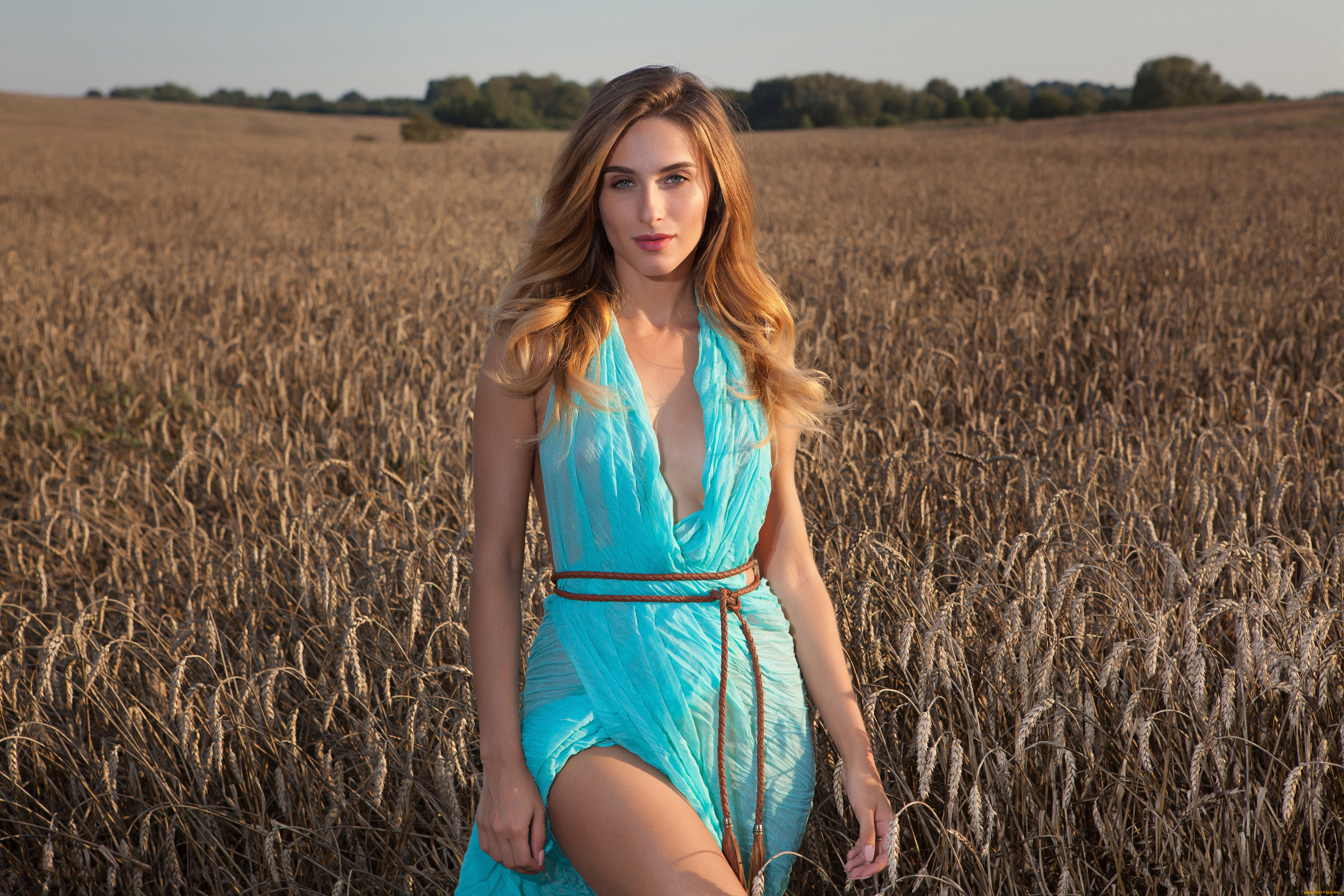 cara, mell, девушки, cara, mell, модель, взгляд, красотка, поза, пшеница, блондинка, поле, девушка