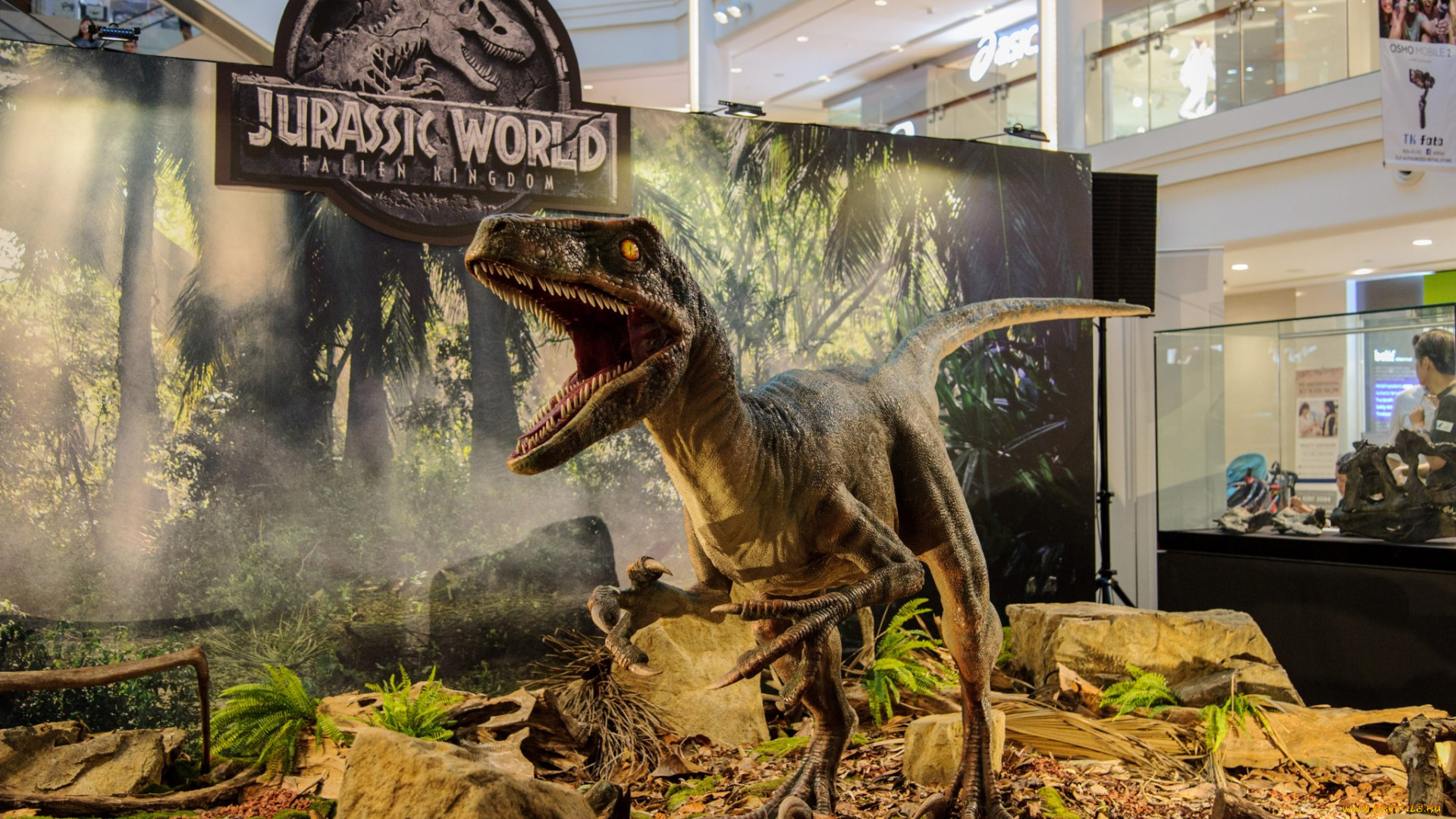 разное, -, другое, динозавр, реклама, стенд