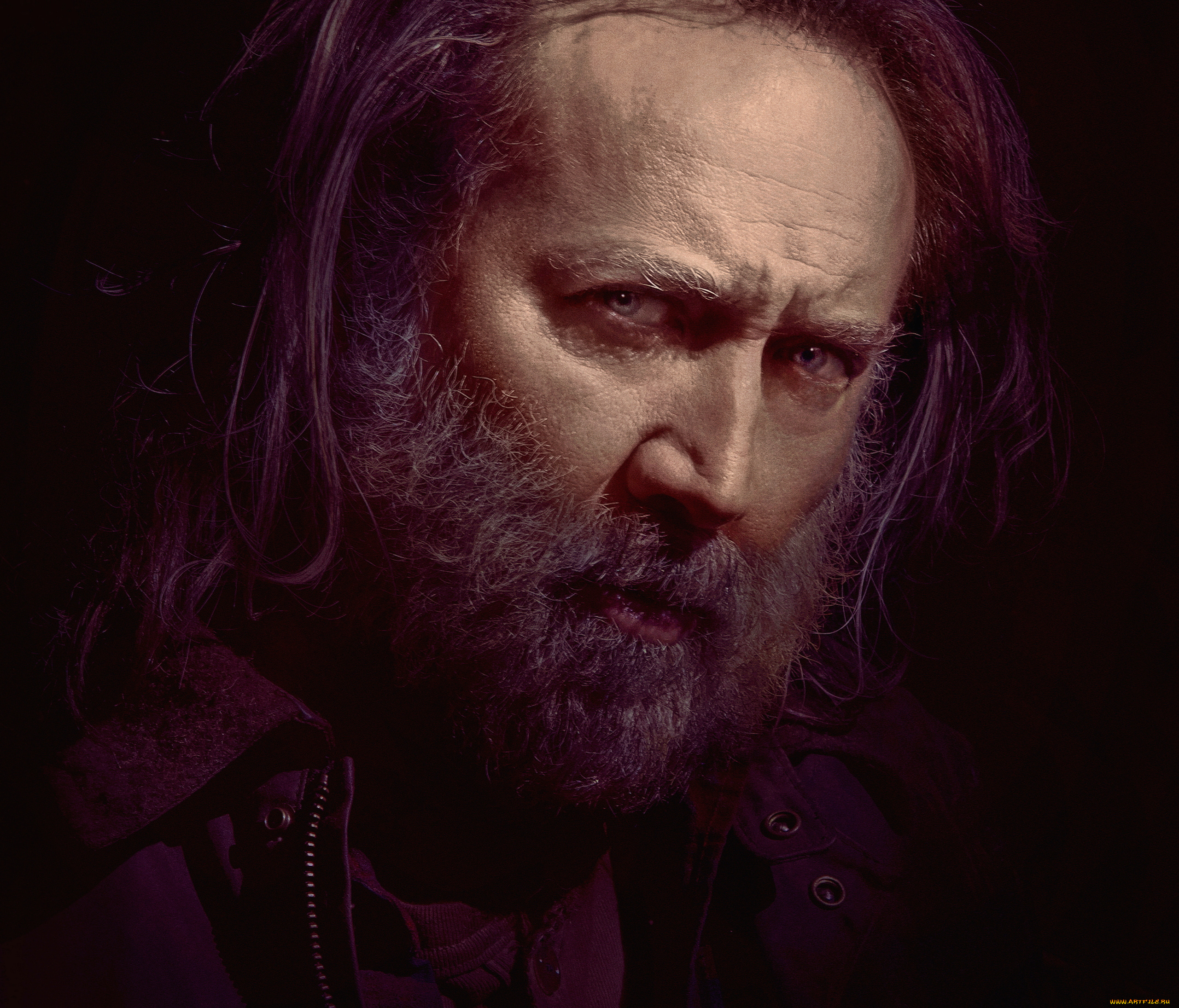 pig, , 2021, кино, фильмы, -unknown, , другое, свинья, николас, кейдж, драма, триллер, rob, nicolas, cage