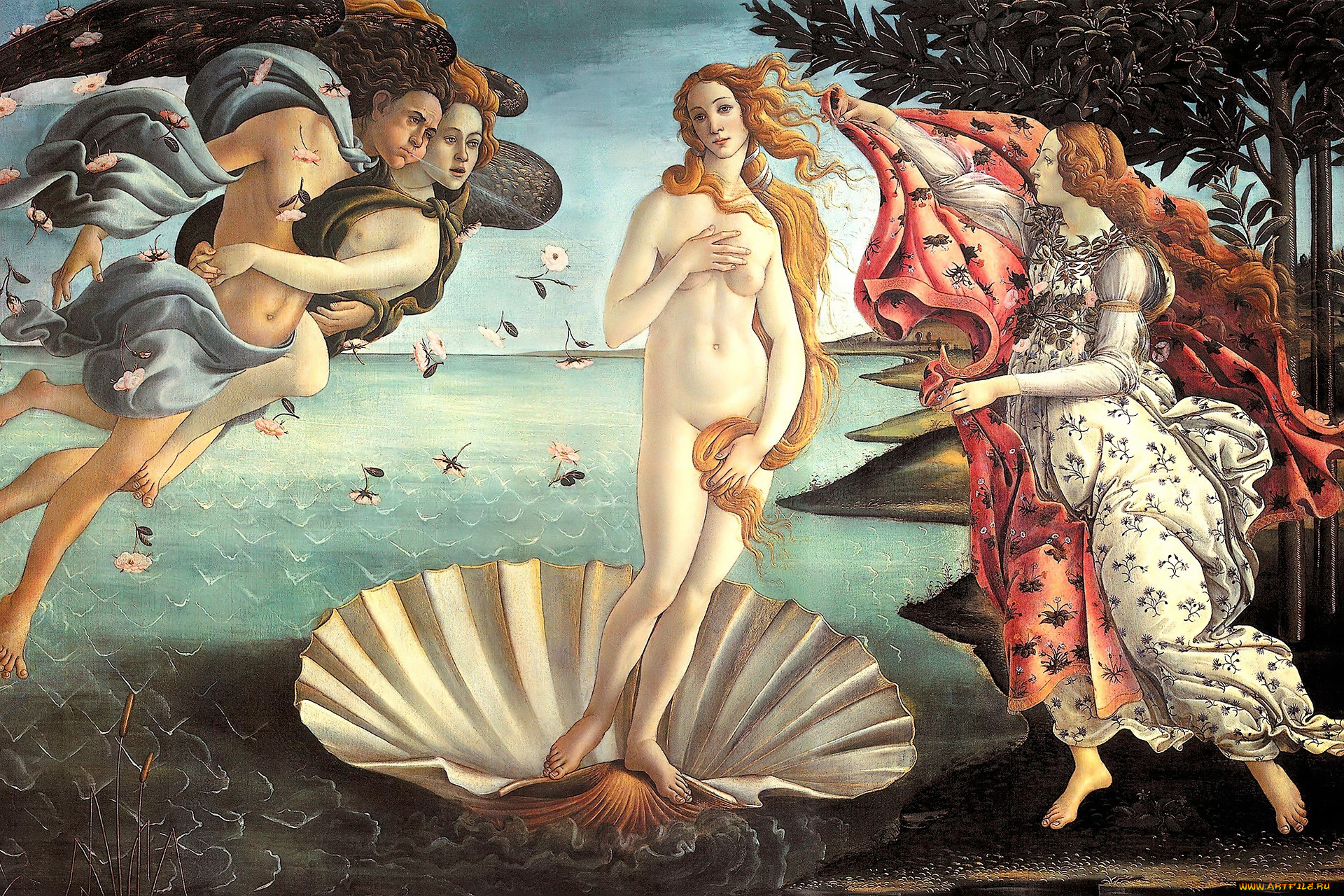 рисованное, sandro, botticelli, боги, венера, ветра, раковина