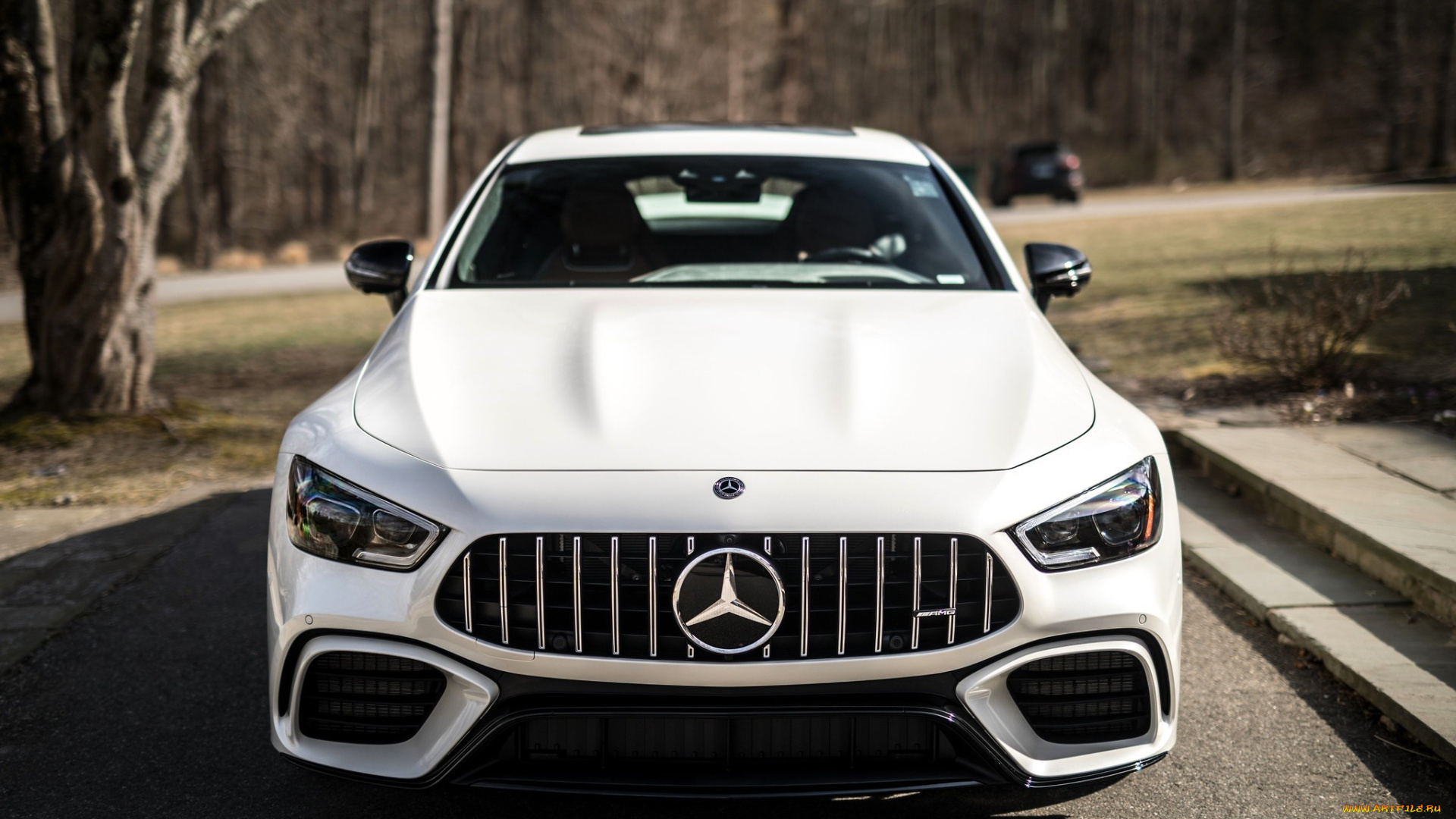 mercedes-amg, gt, автомобили, mercedes-benz, белый, ступени, парк
