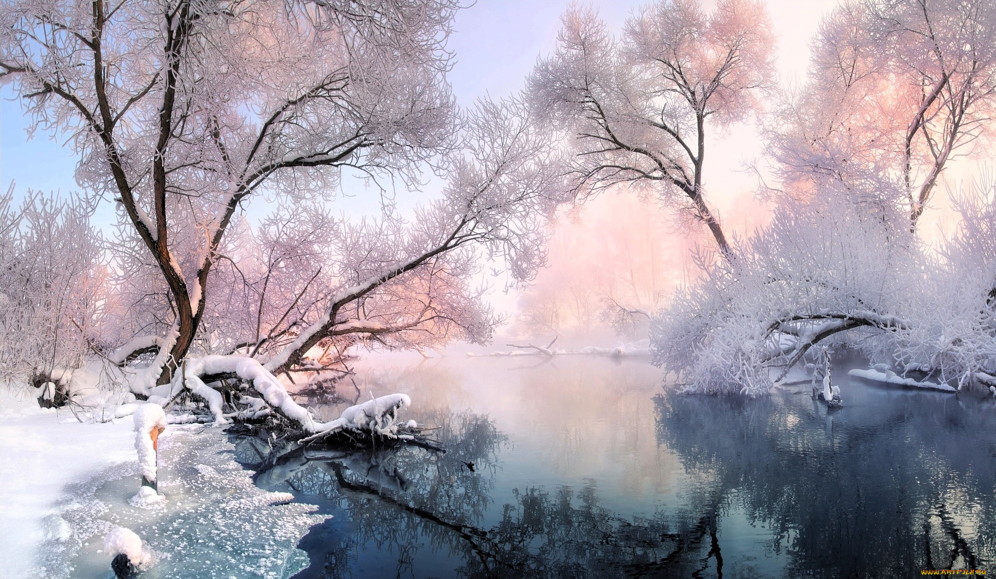 природа, реки, озера, деревья, иней, снег, лед, река