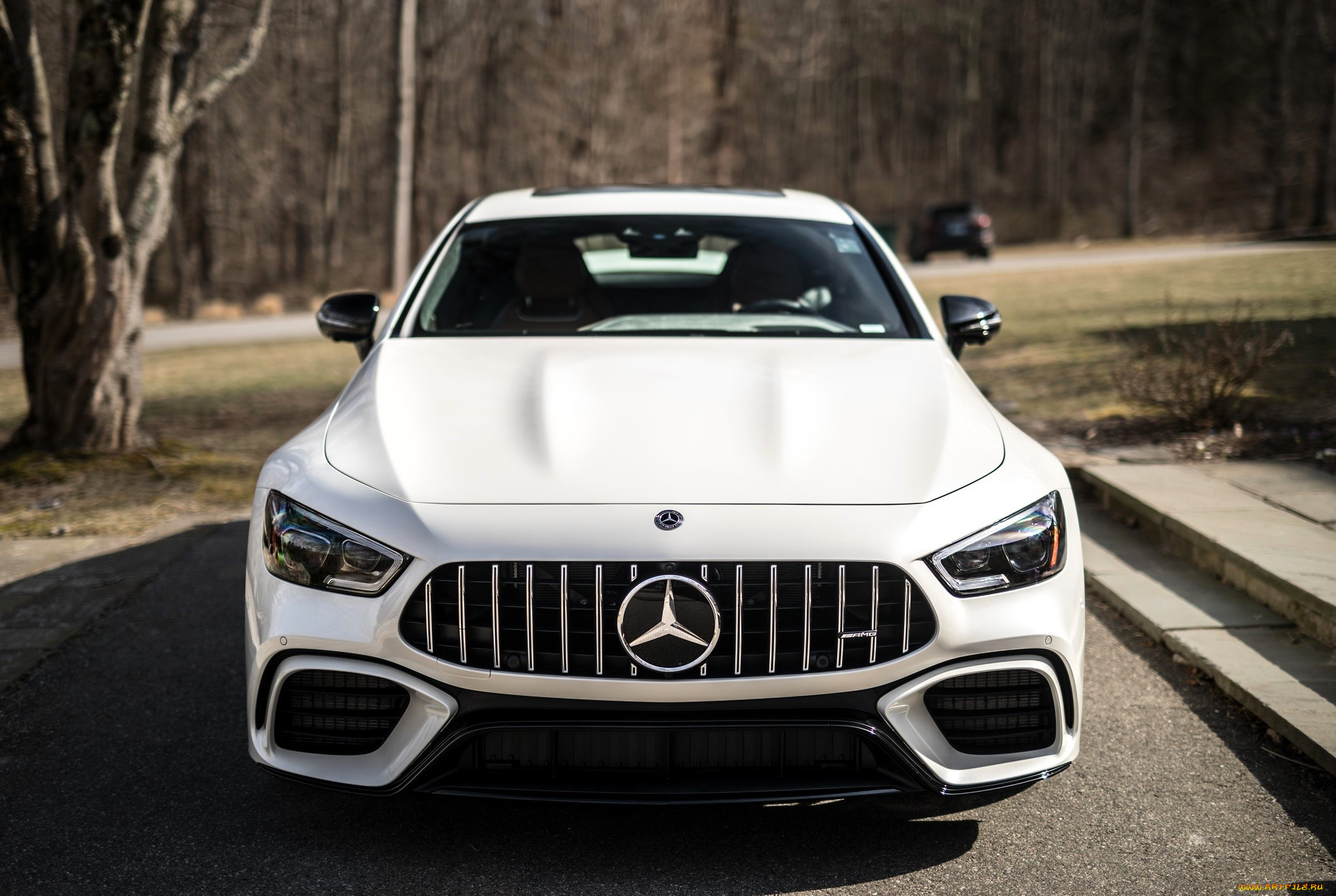 mercedes-amg, gt, автомобили, mercedes-benz, белый, ступени, парк