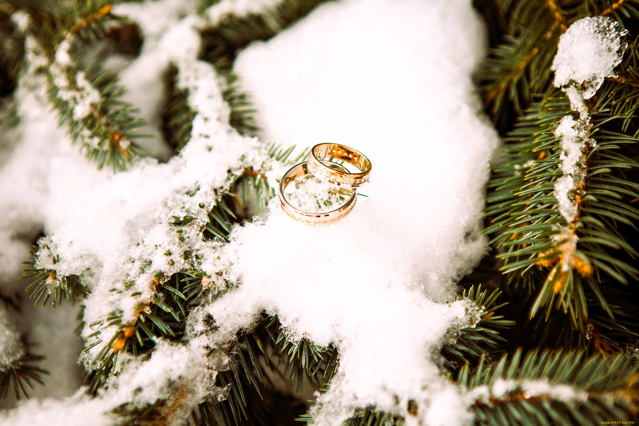разное, украшения, , аксессуары, , веера, ёлка, снег, кольца