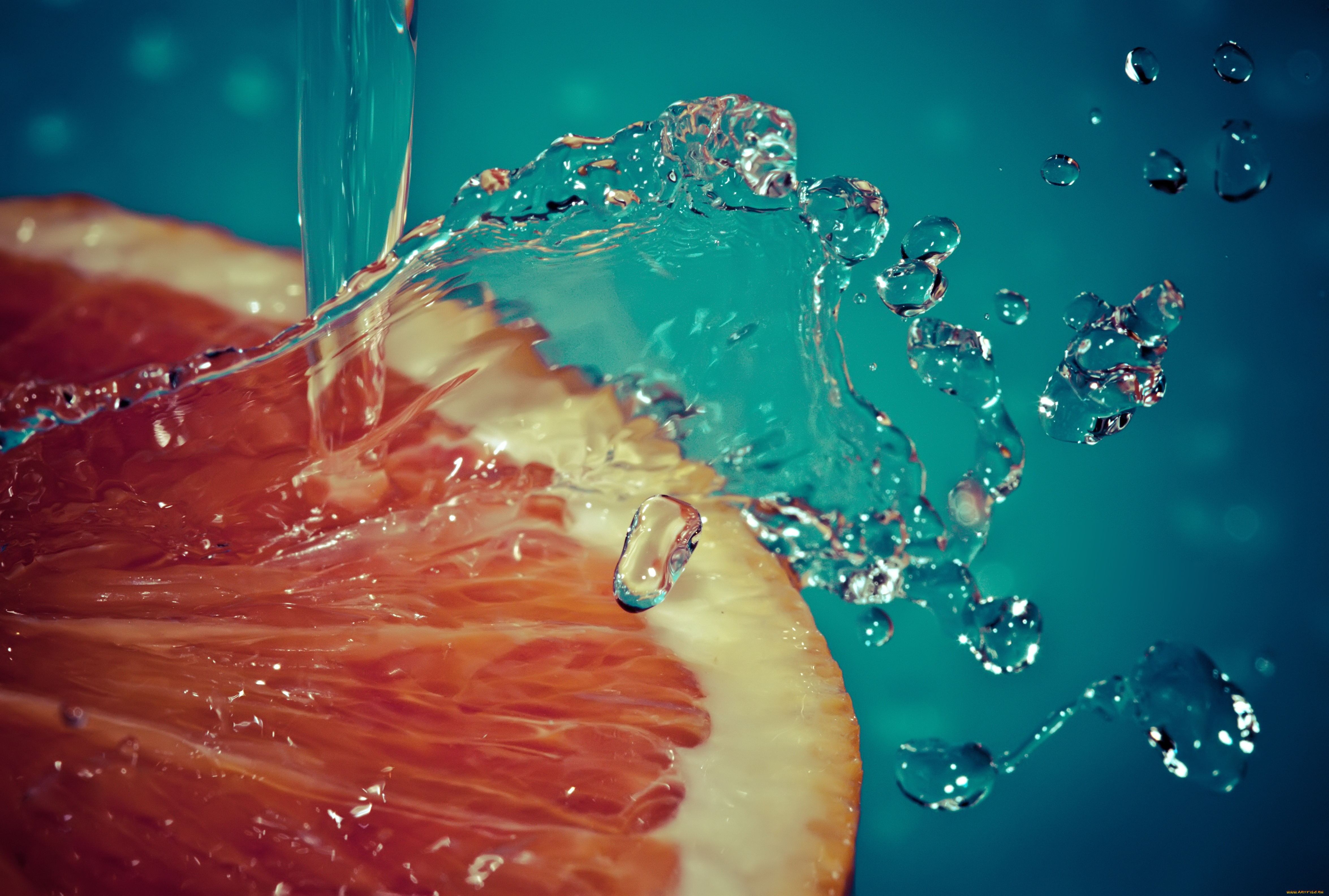 еда, цитрусы, цитрус