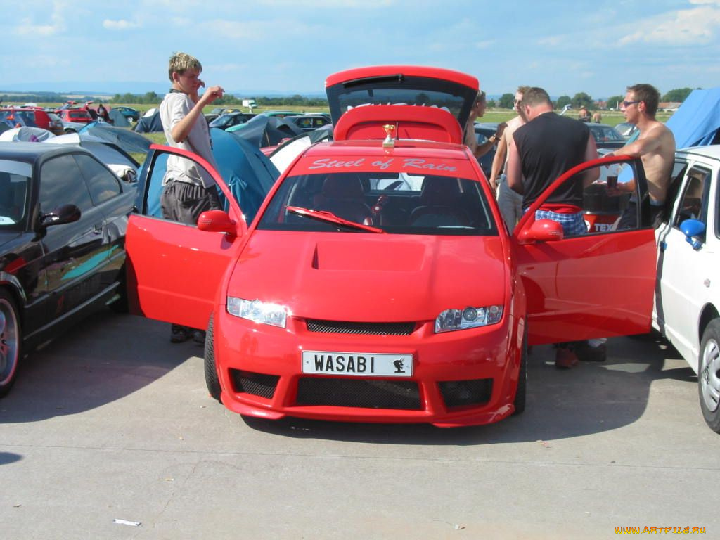 scoda, fabia, автомобили, skoda