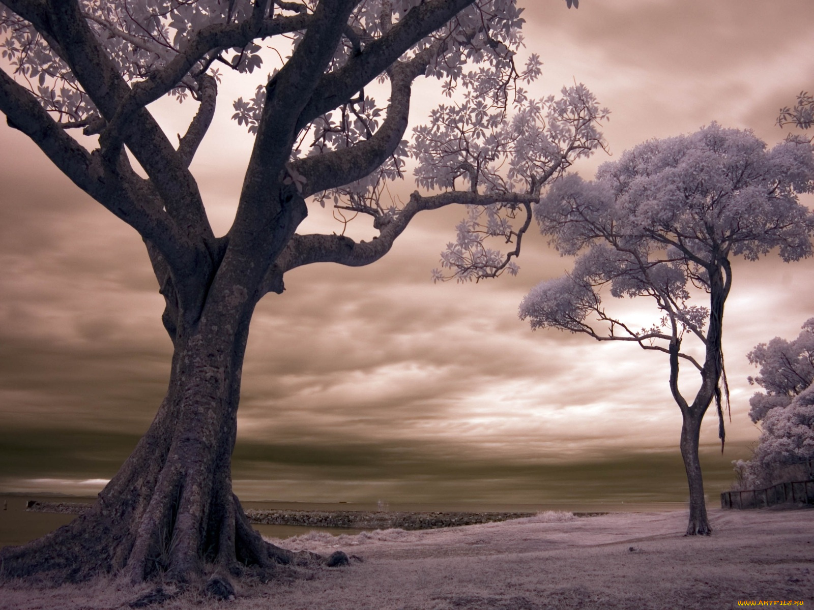 фэнтези, пейзажи