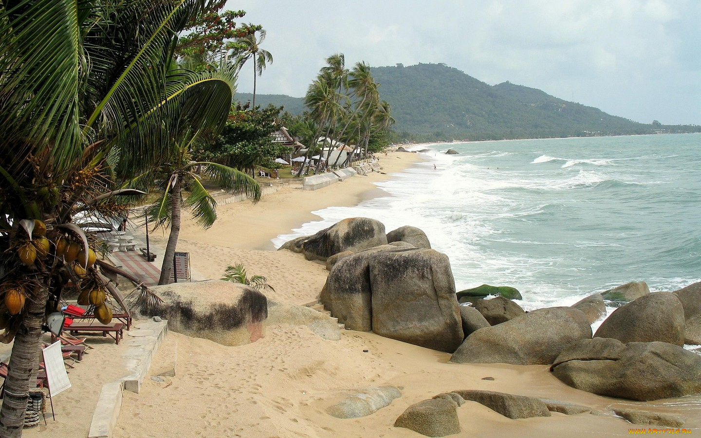 природа, тропики