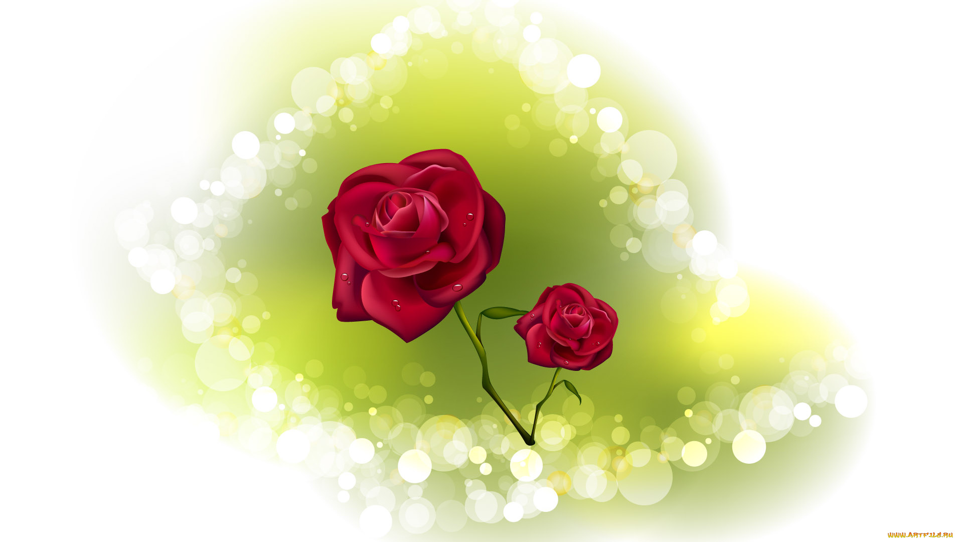 3д, графика, flowers, цветы