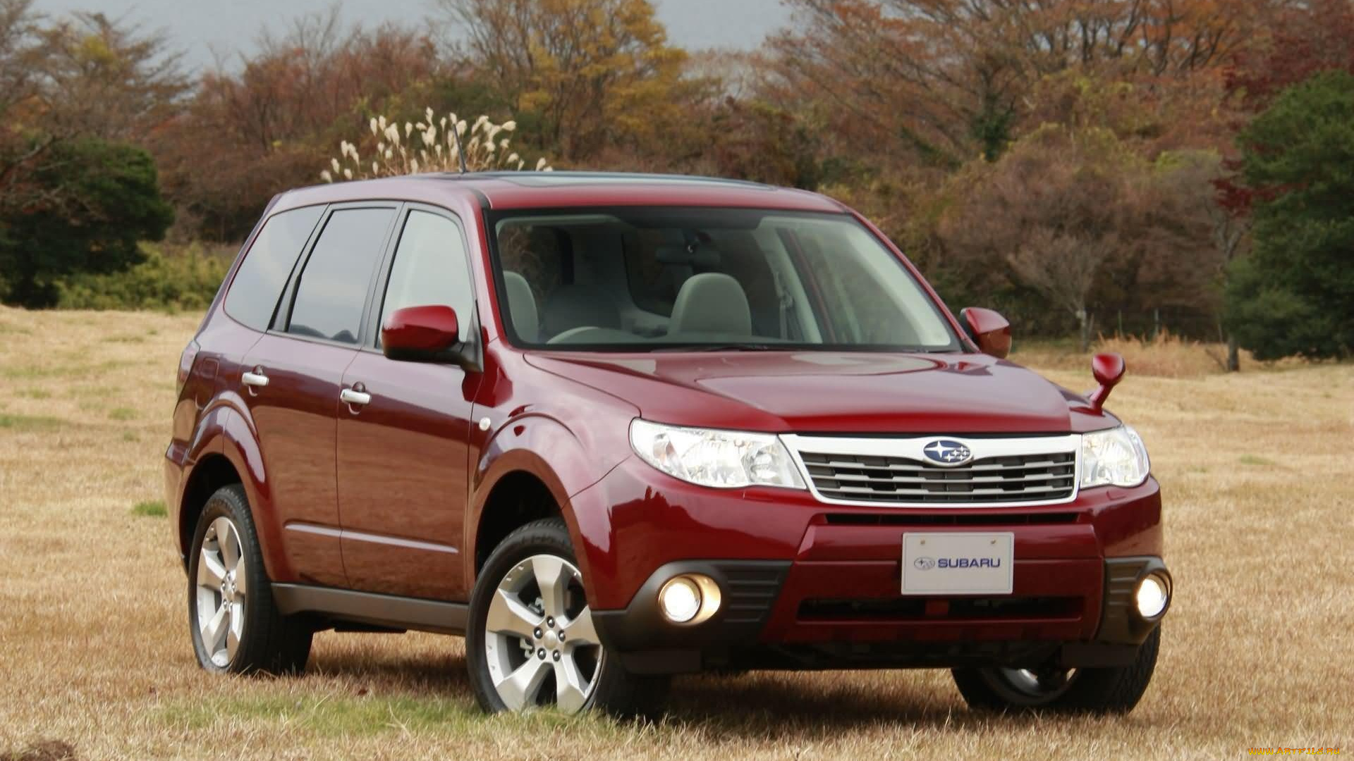 автомобили, subaru