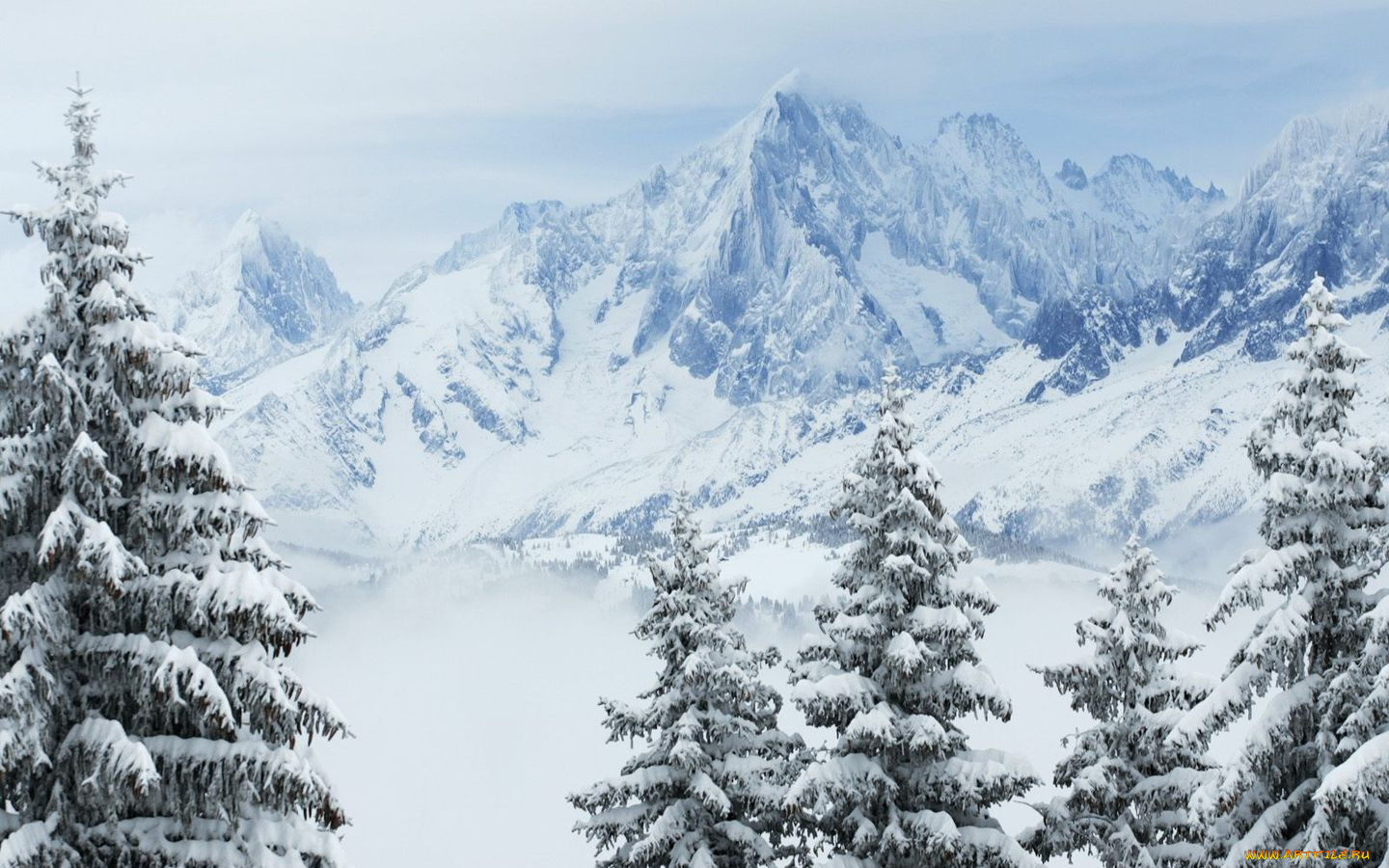 природа, зима