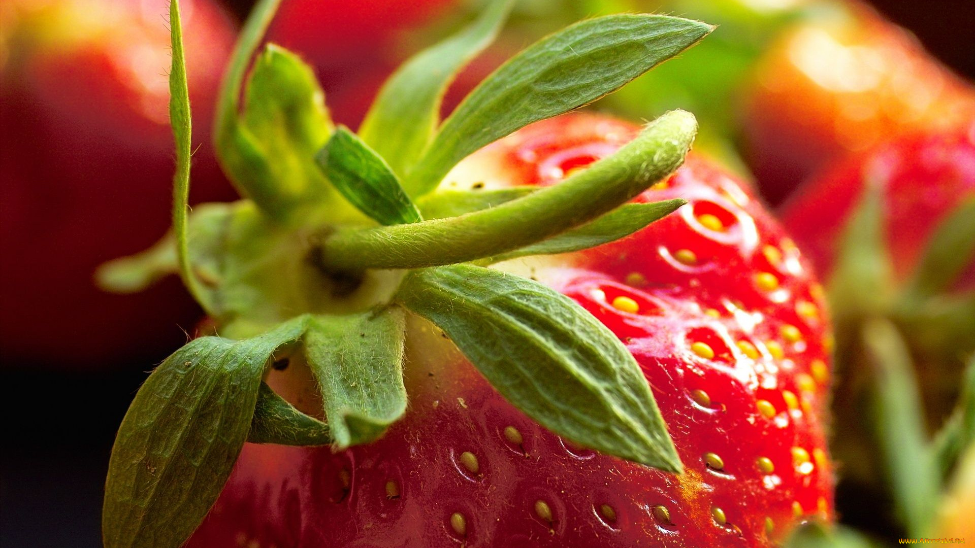 еда, клубника, земляника