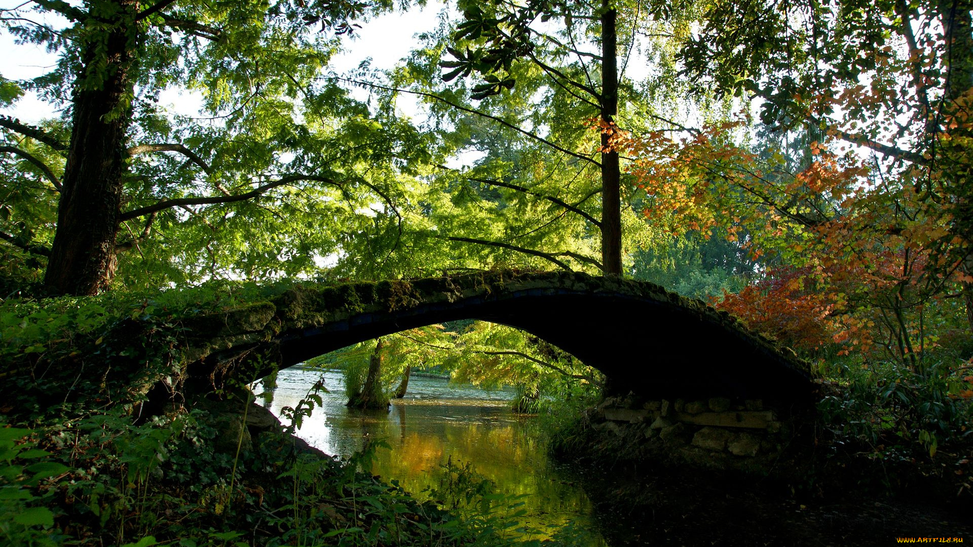 природа, реки, озера